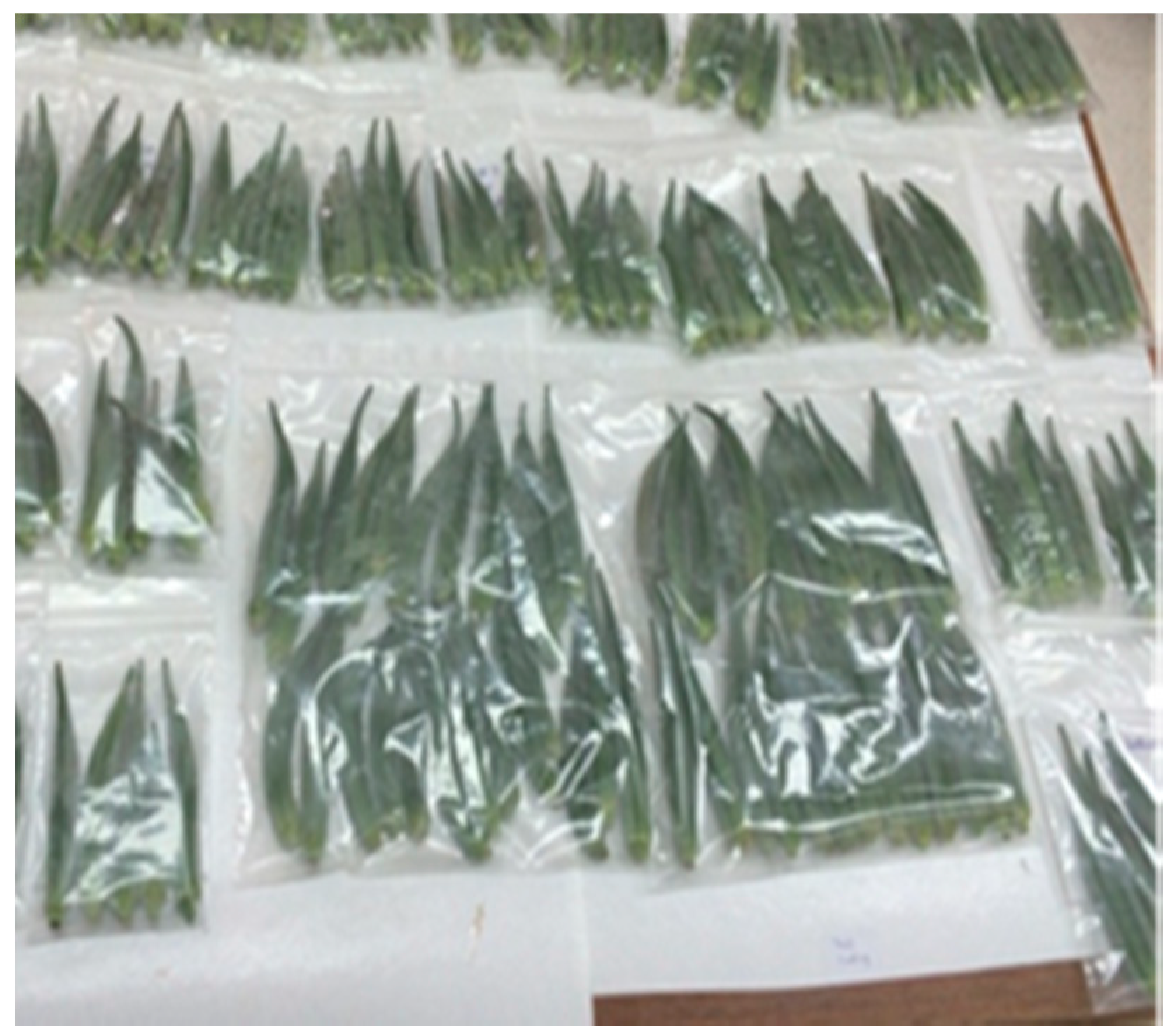 Nanomaterials 08 00479 g001