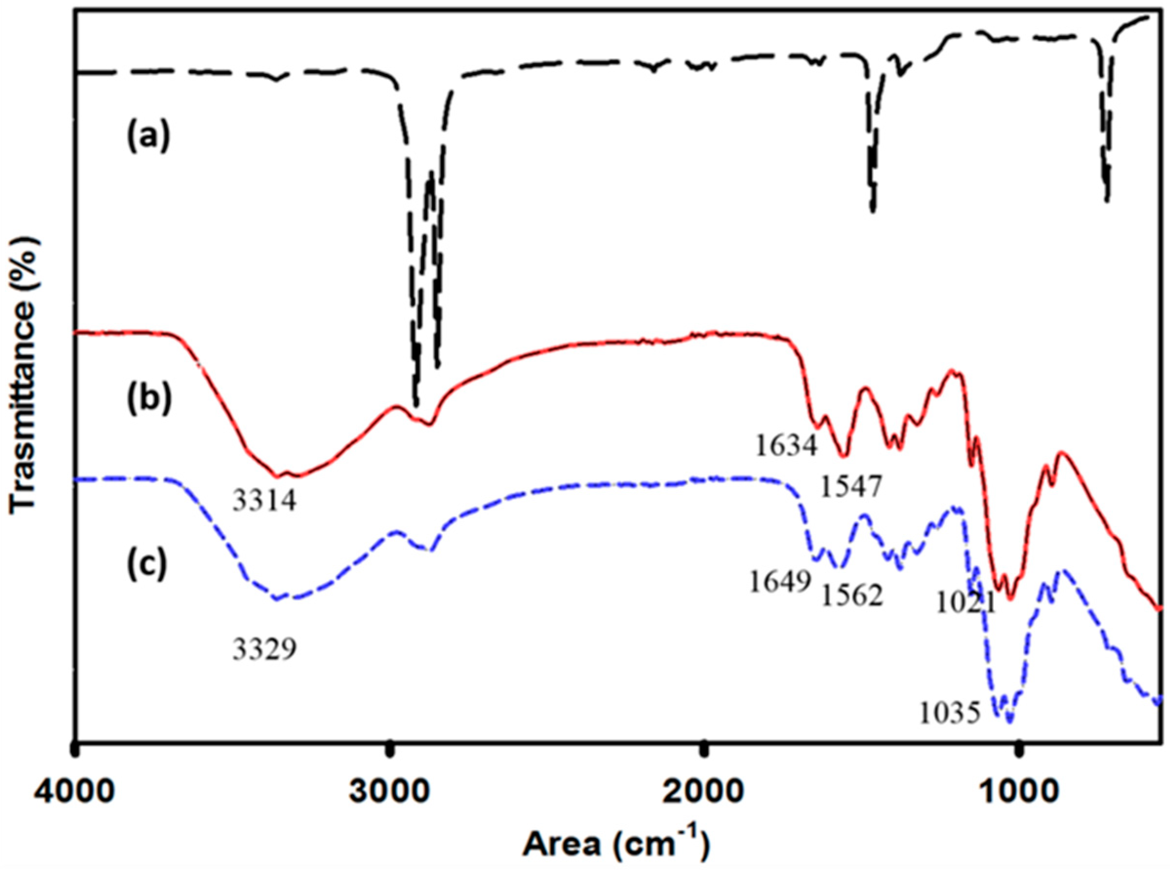 Nanomaterials 08 00479 g002
