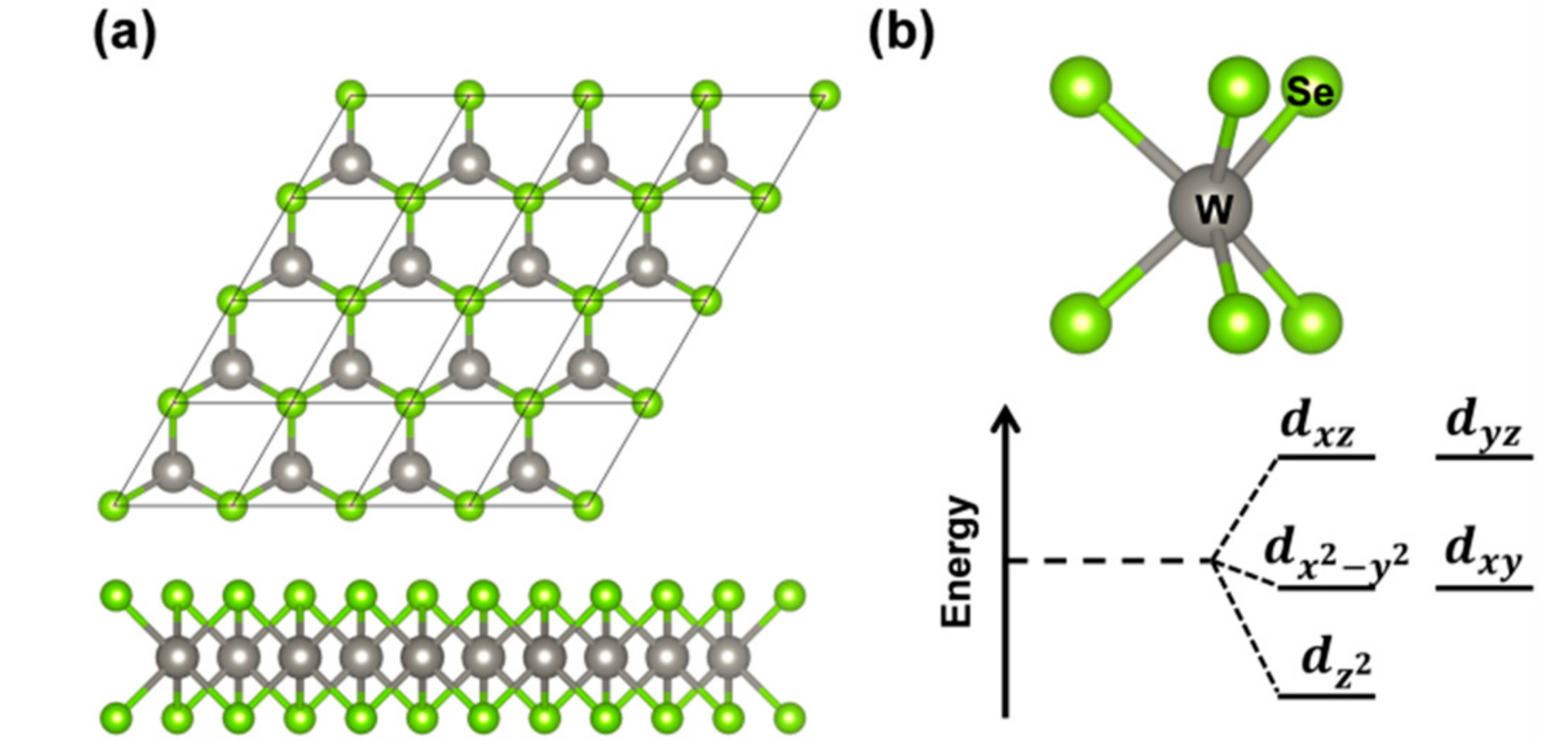 Nanomaterials 08 00481 g001