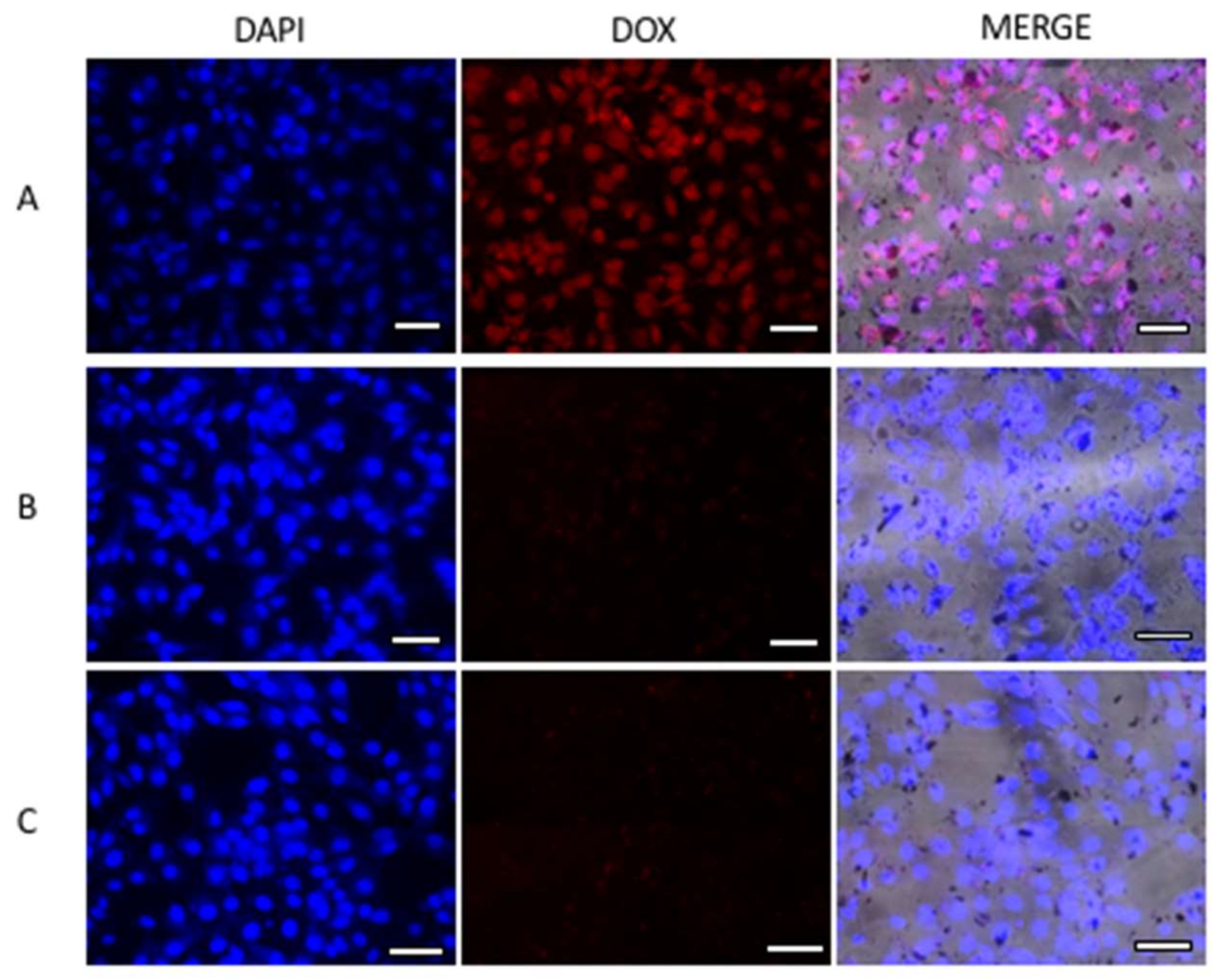 Nanomaterials 08 00484 g008 Nanomaterials 08 00484 g008