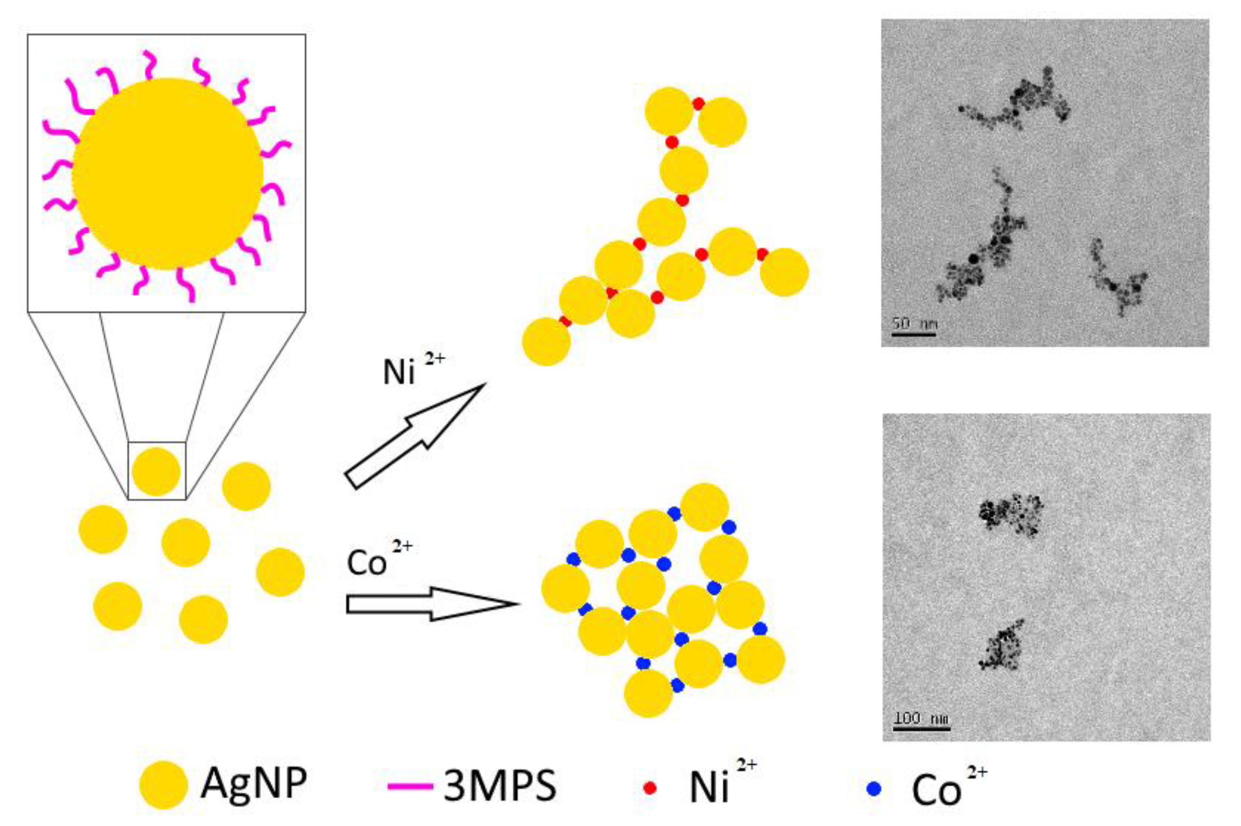 Nanomaterials 08 00488 g006 Nanomaterials 08 00488 g006