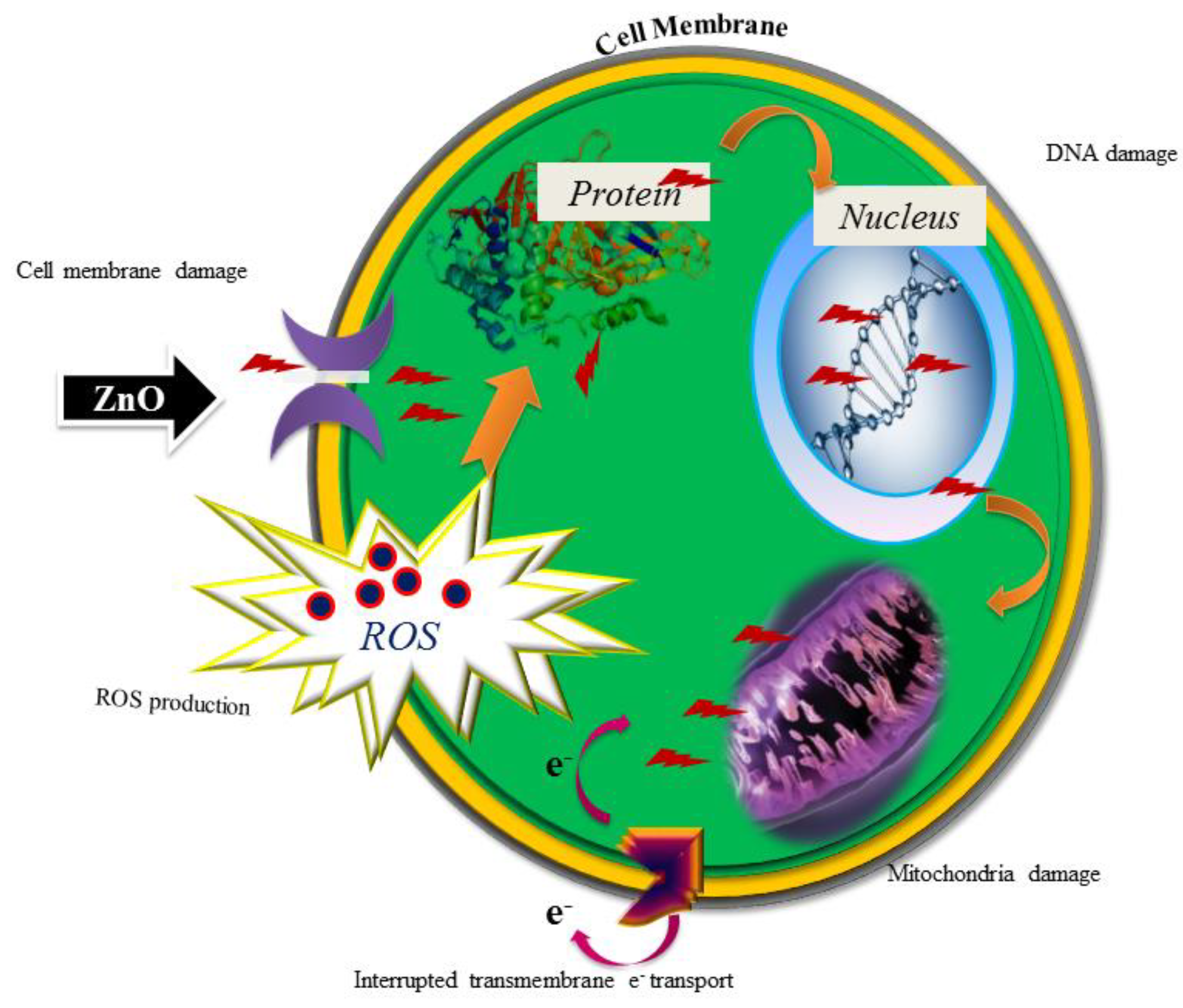 Nanomaterials 08 00500 g009 550