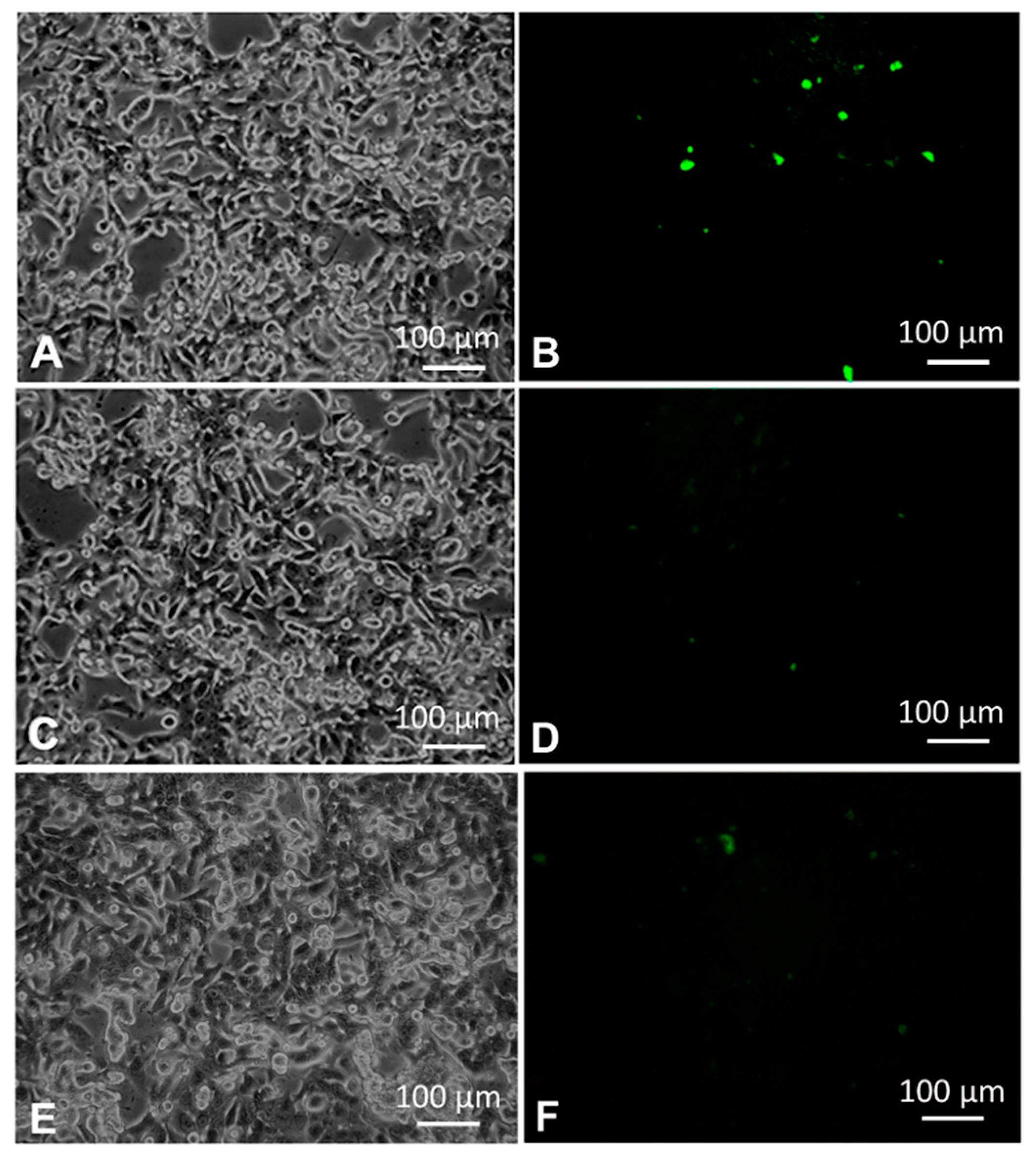 Nanomaterials 08 00510 g004 Nanomaterials 08 00510 g004