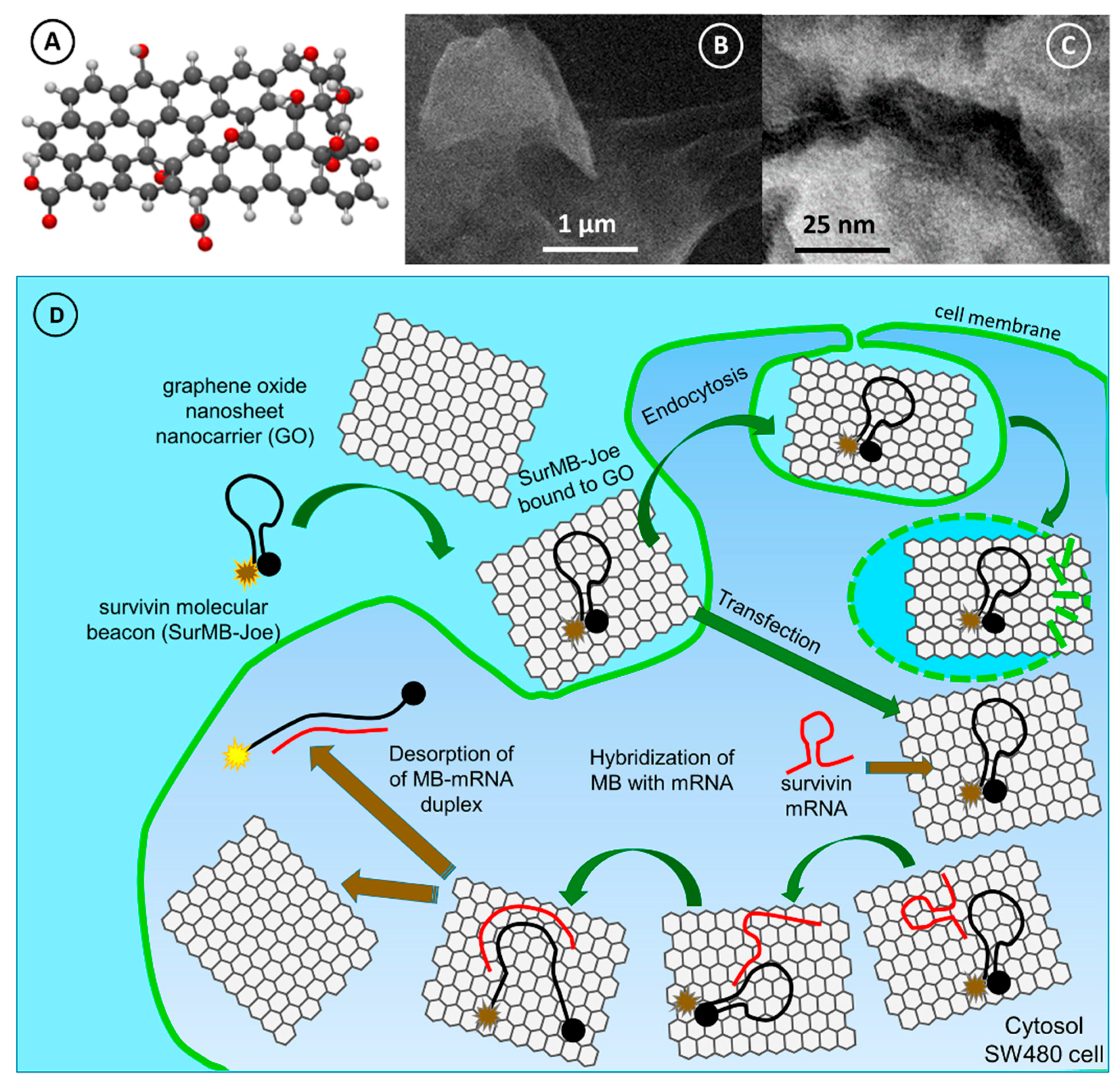 Nanomaterials 08 00510 g005 Nanomaterials 08 00510 g005