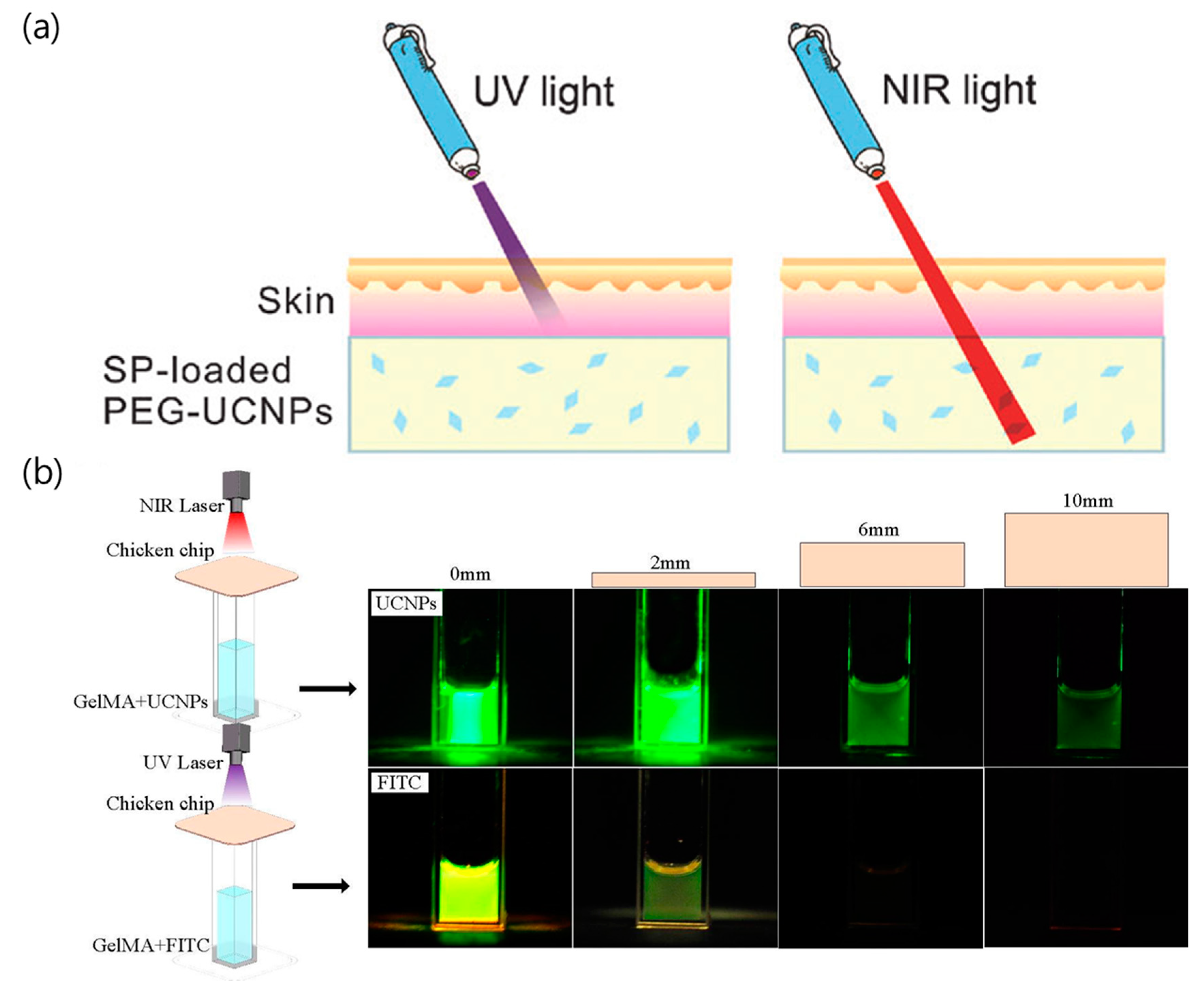Nanomaterials 08 00511 g002 Nanomaterials 08 00511 g002