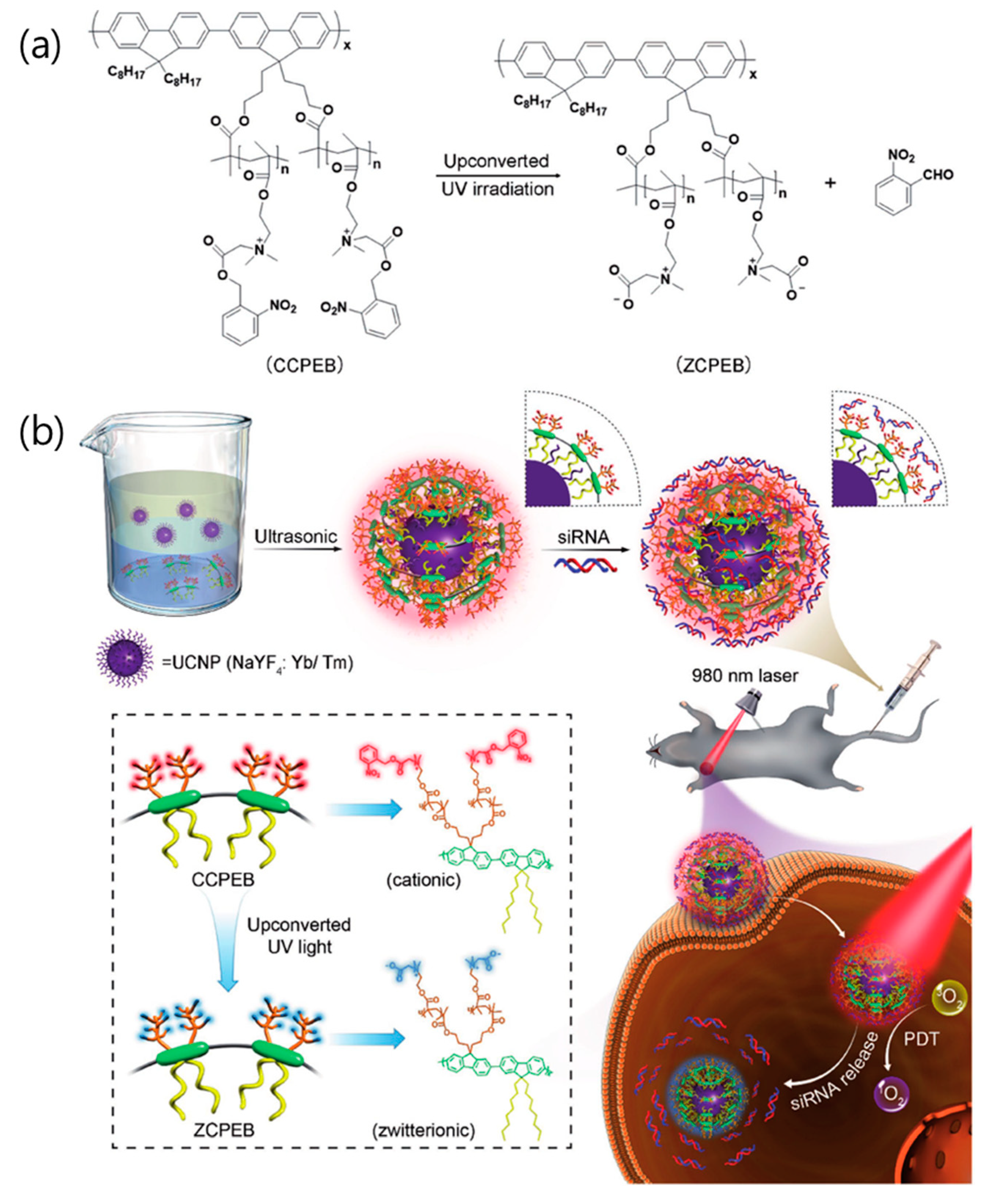 Nanomaterials 08 00511 g004 Nanomaterials 08 00511 g004