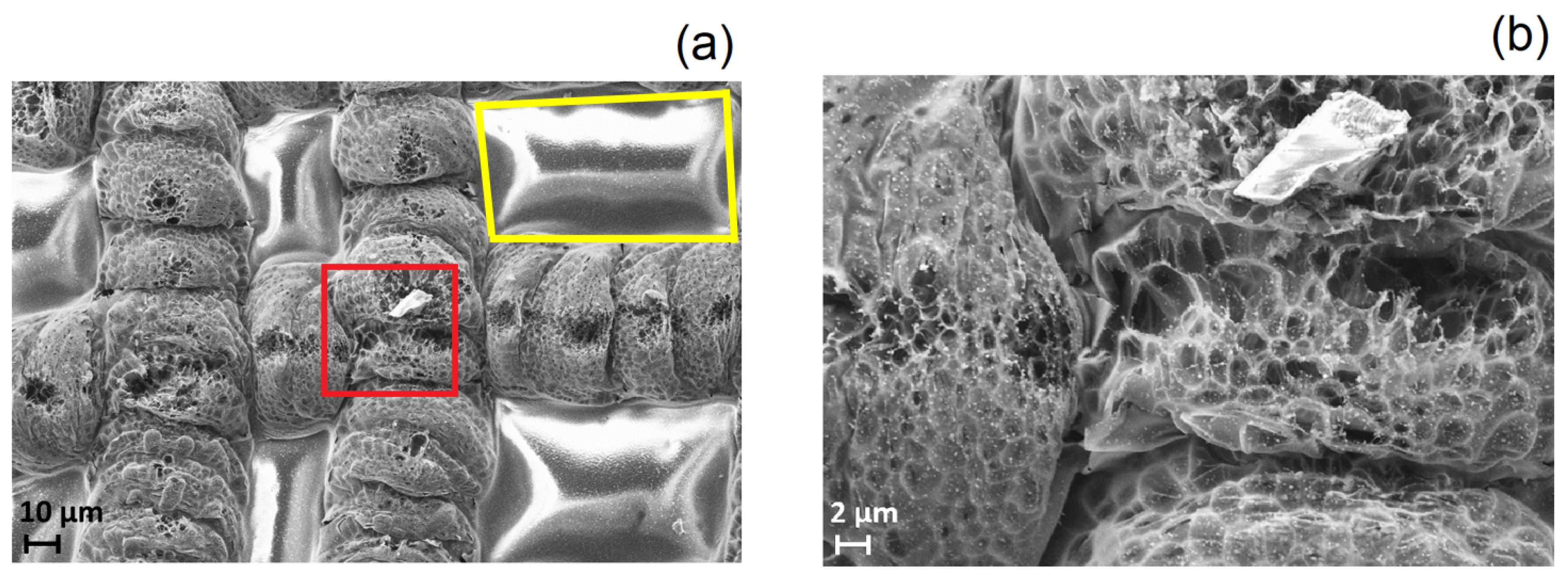 Nanomaterials 08 00517 g003 Nanomaterials 08 00517 g003