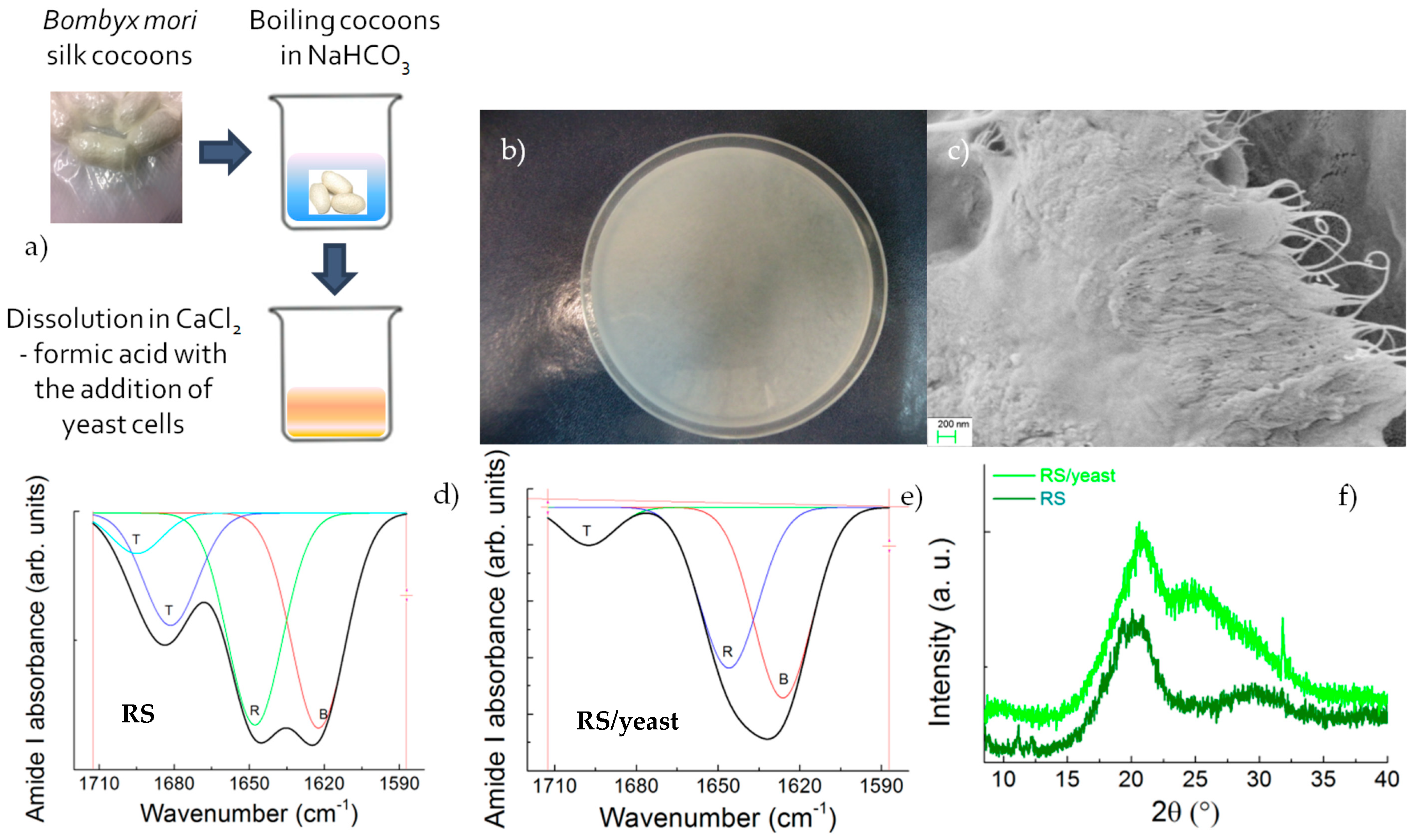 Nanomaterials 08 00518 g001