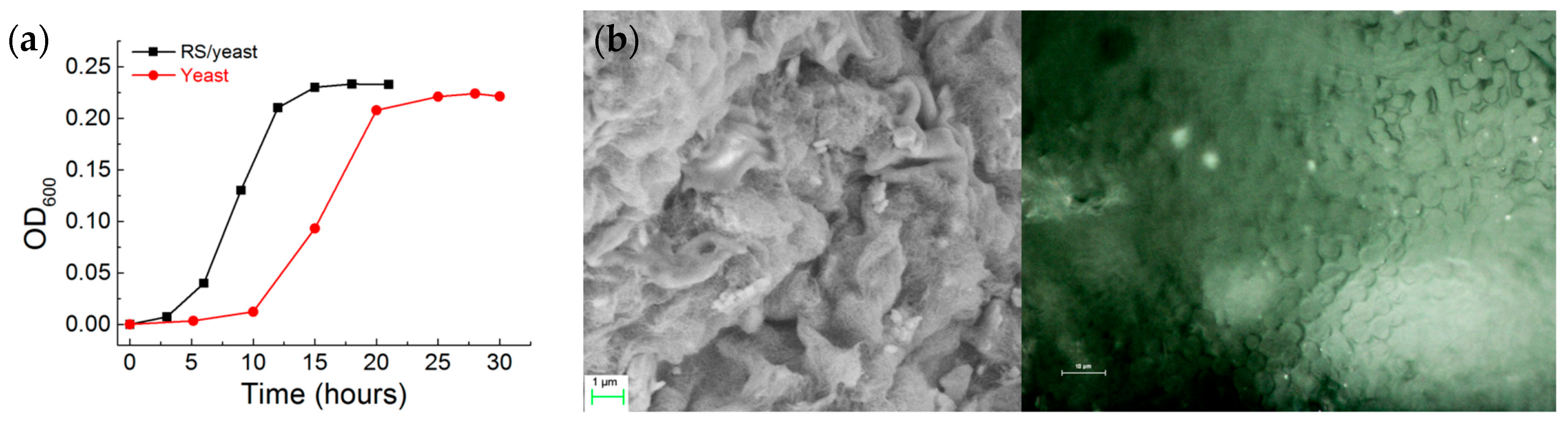 Nanomaterials 08 00518 g002