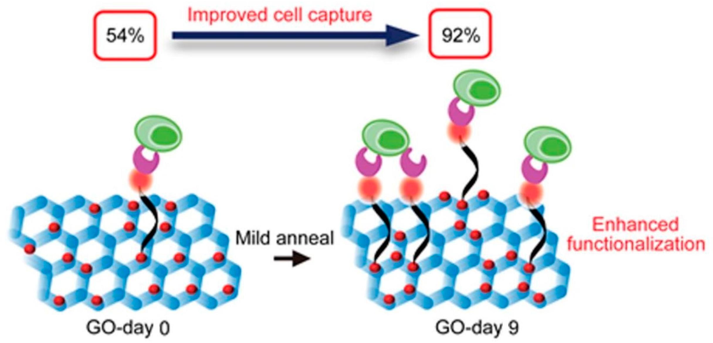 Nanomaterials 08 00519 g004
