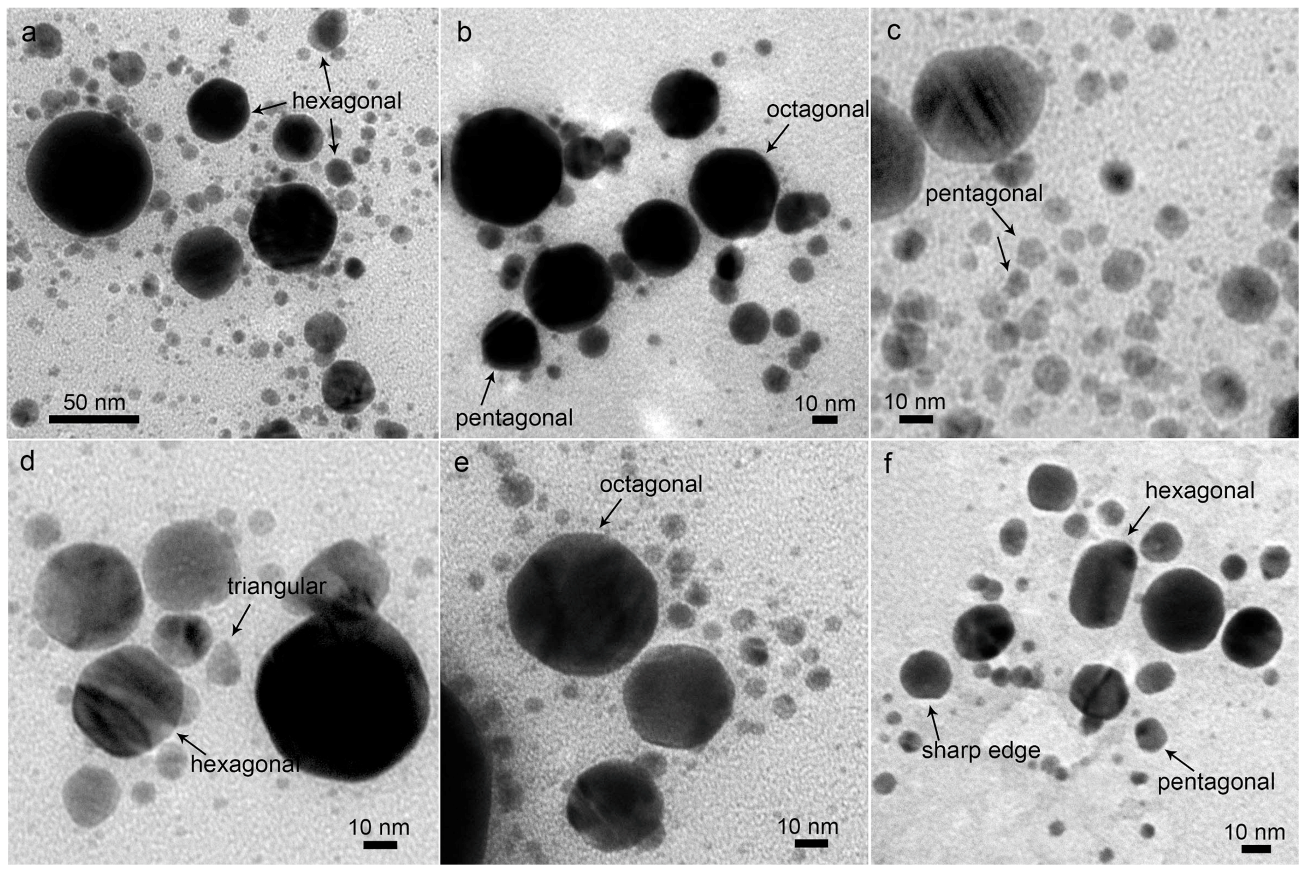Nanomaterials 08 00529 g006 Nanomaterials 08 00529 g006
