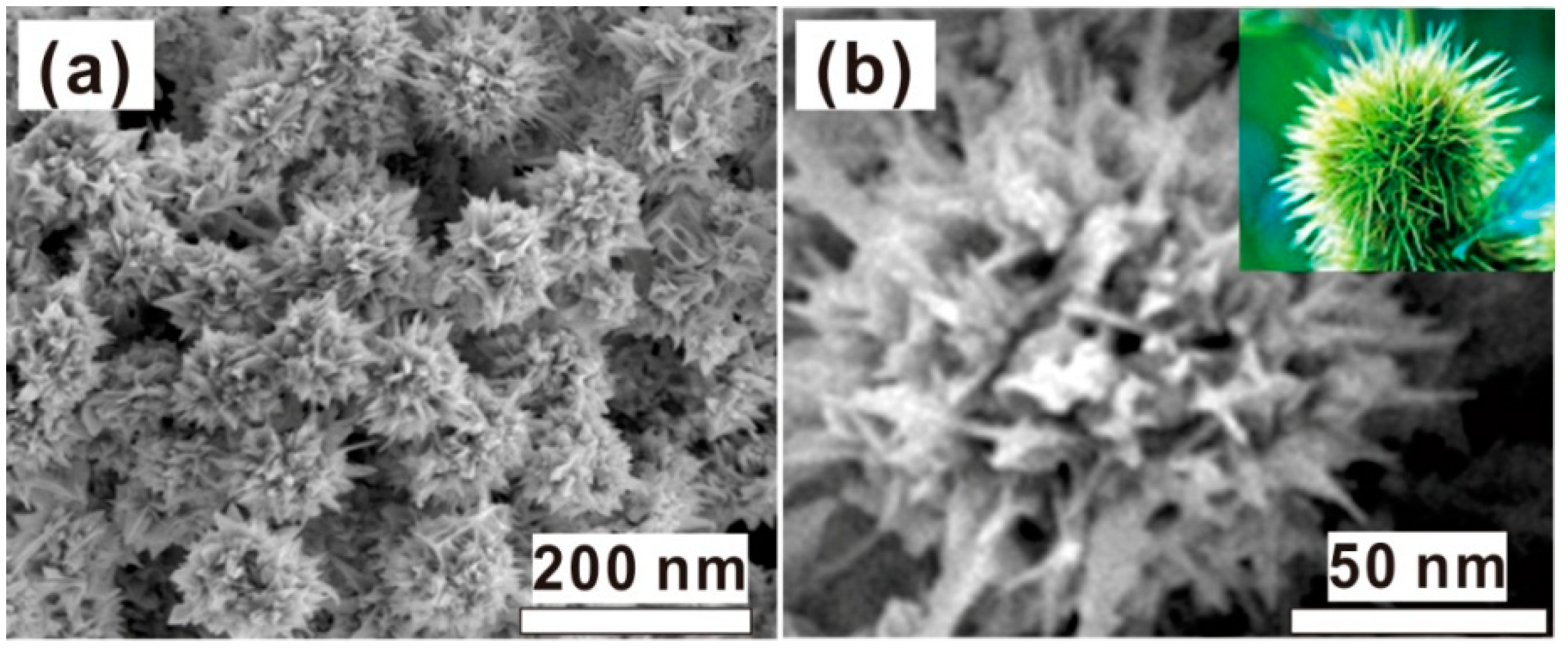 Nanomaterials 08 00560 g002 Nanomaterials 08 00560 g002
