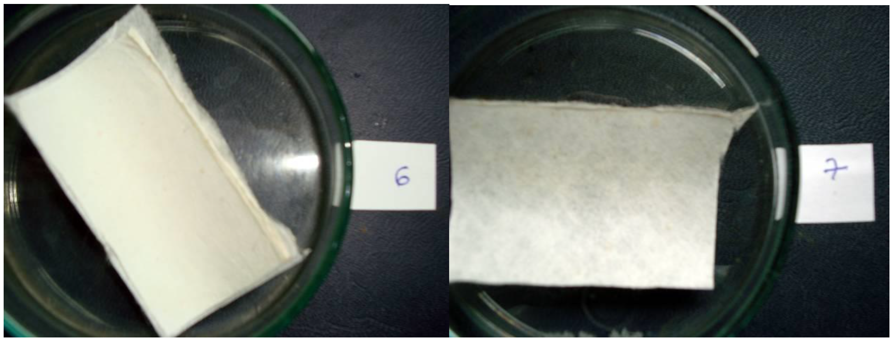 Nanomaterials 08 00564 g020