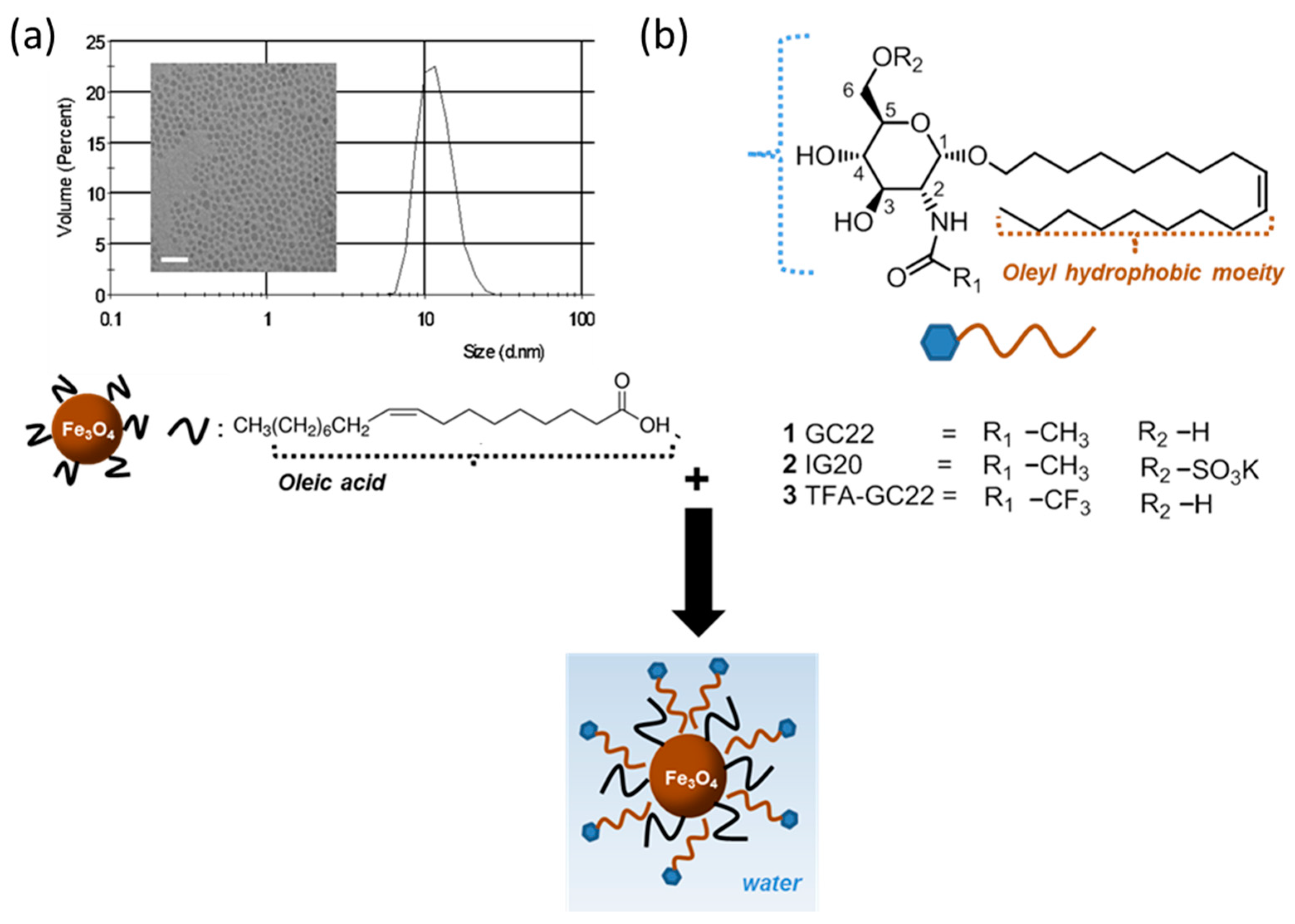 Nanomaterials 08 00567 g001