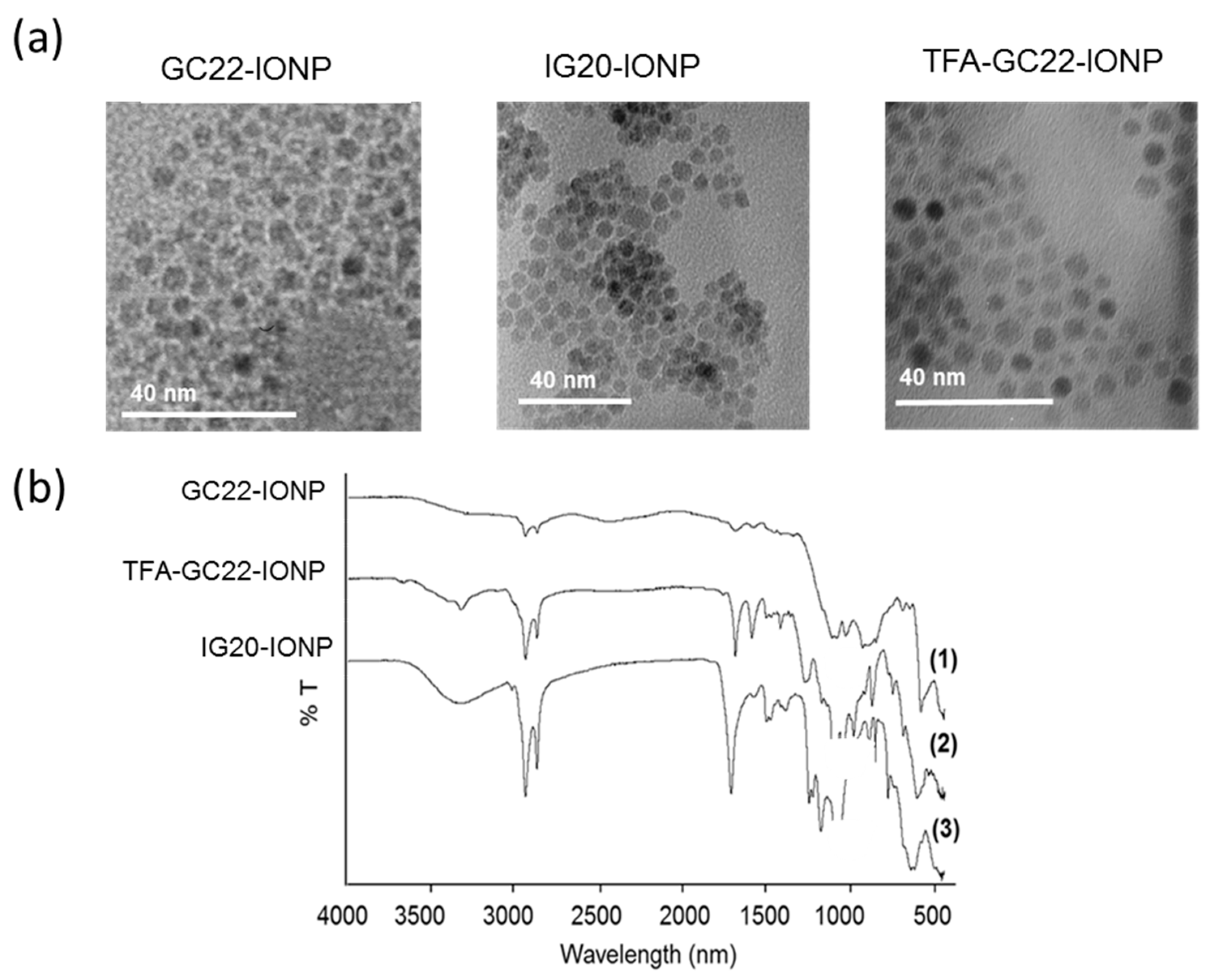 Nanomaterials 08 00567 g003