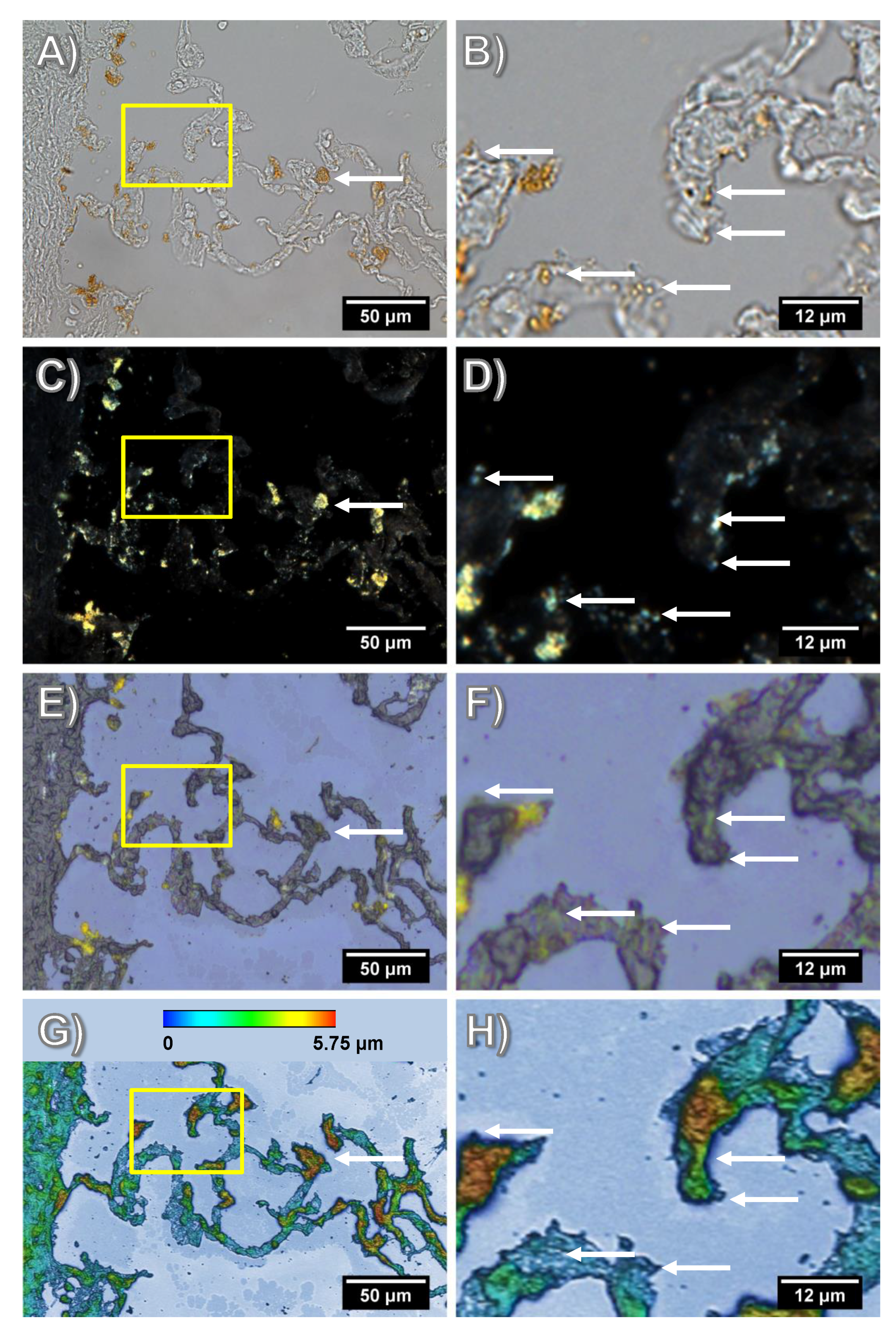 Nanomaterials 08 00571 g003