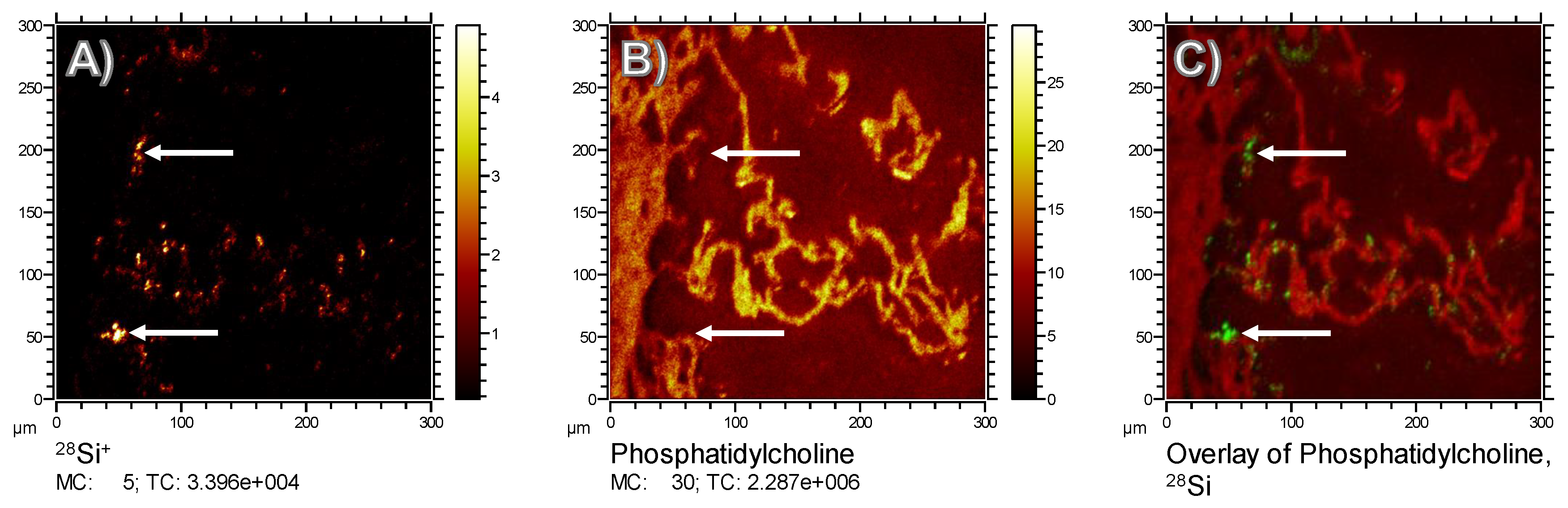 Nanomaterials 08 00571 g006