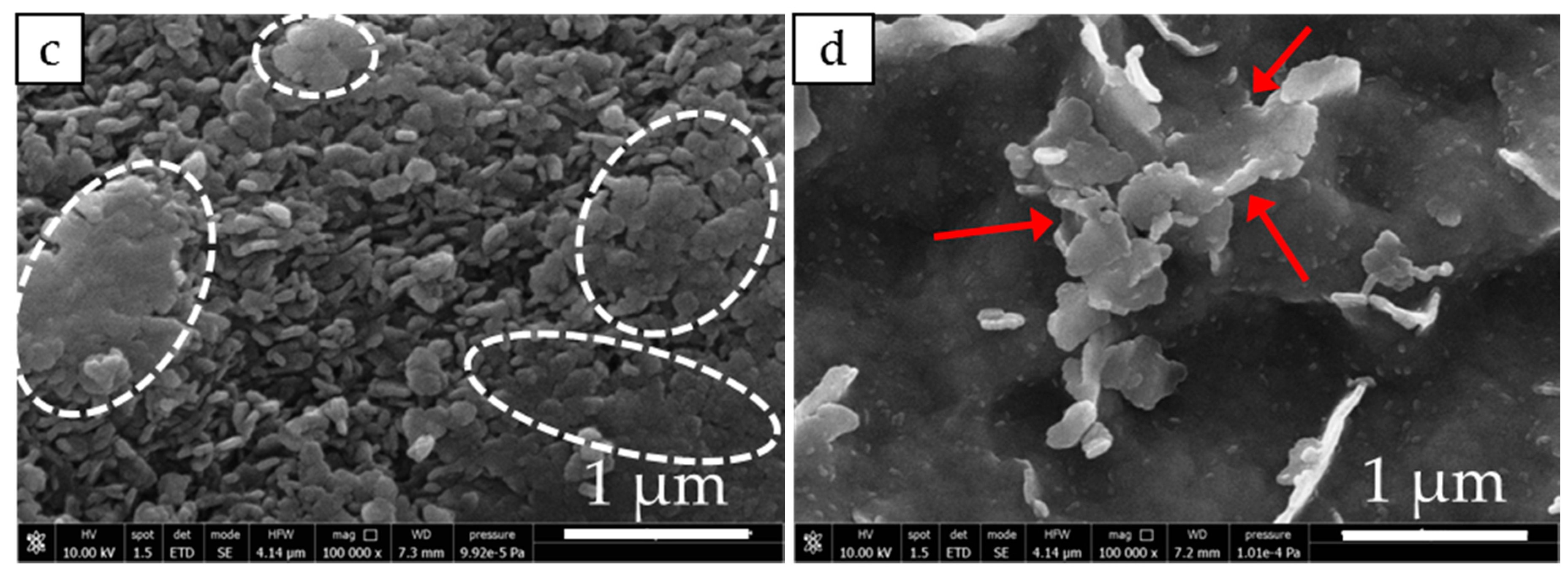 Nanomaterials 08 00573 g008b