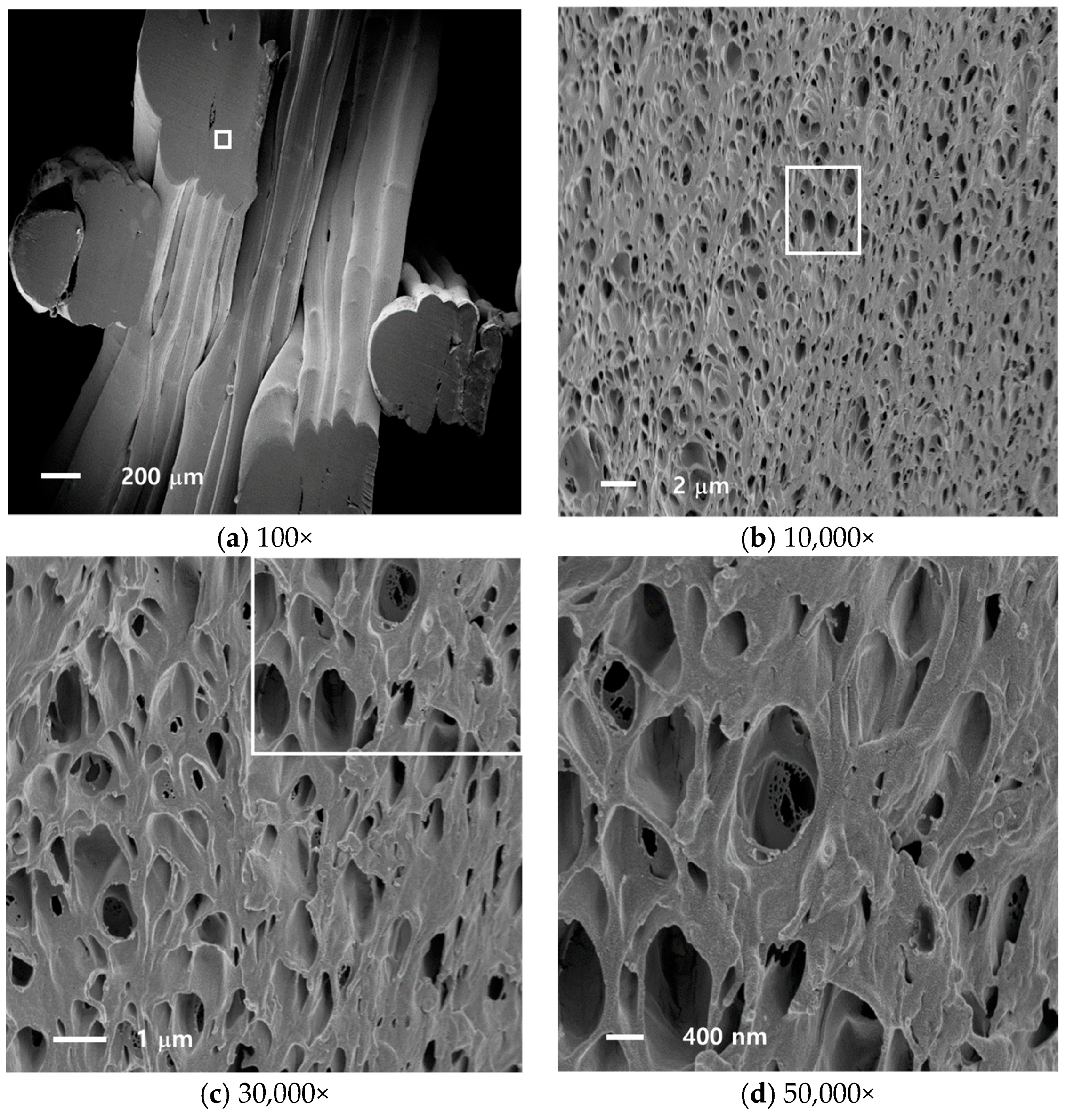 Nanomaterials 08 00575 g002