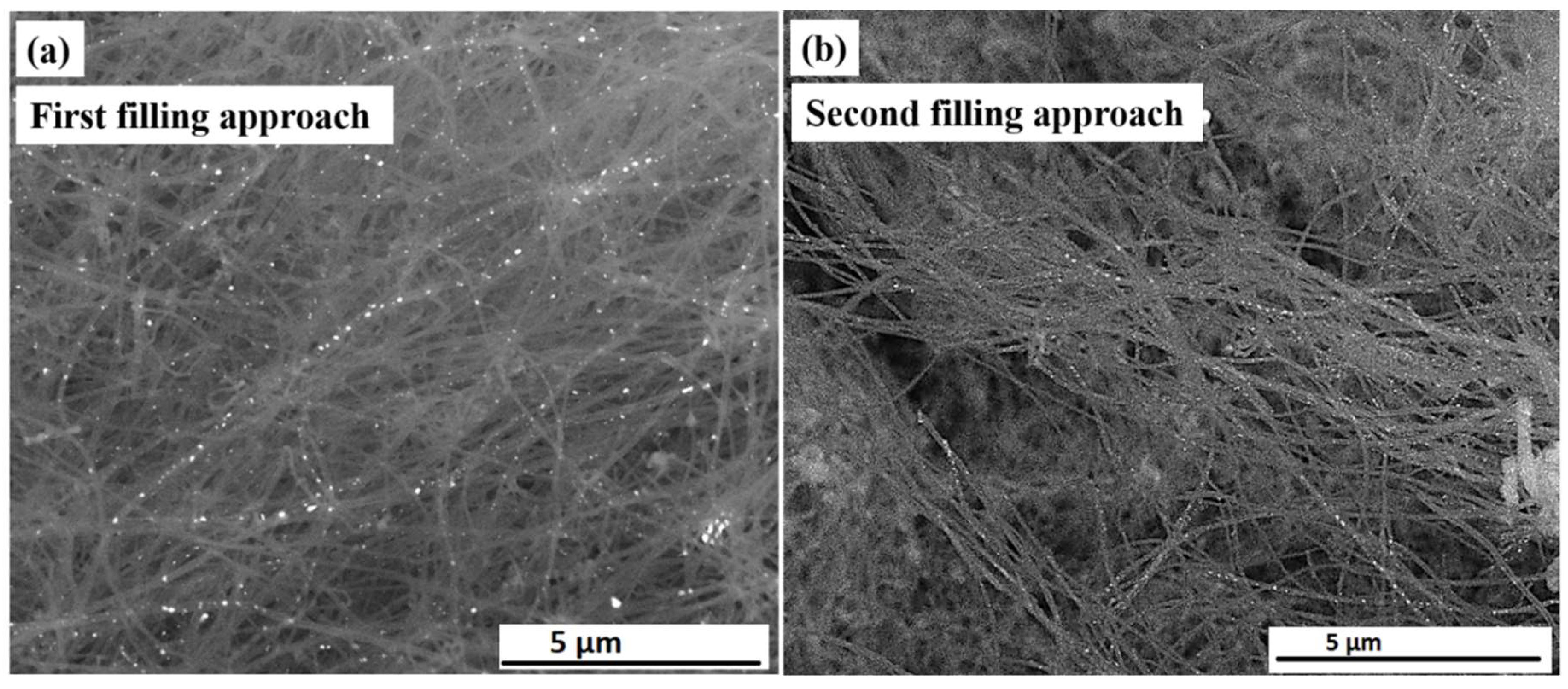 Nanomaterials 08 00576 g001