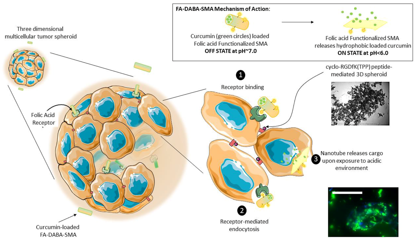 Nanomaterials 08 00588 g010