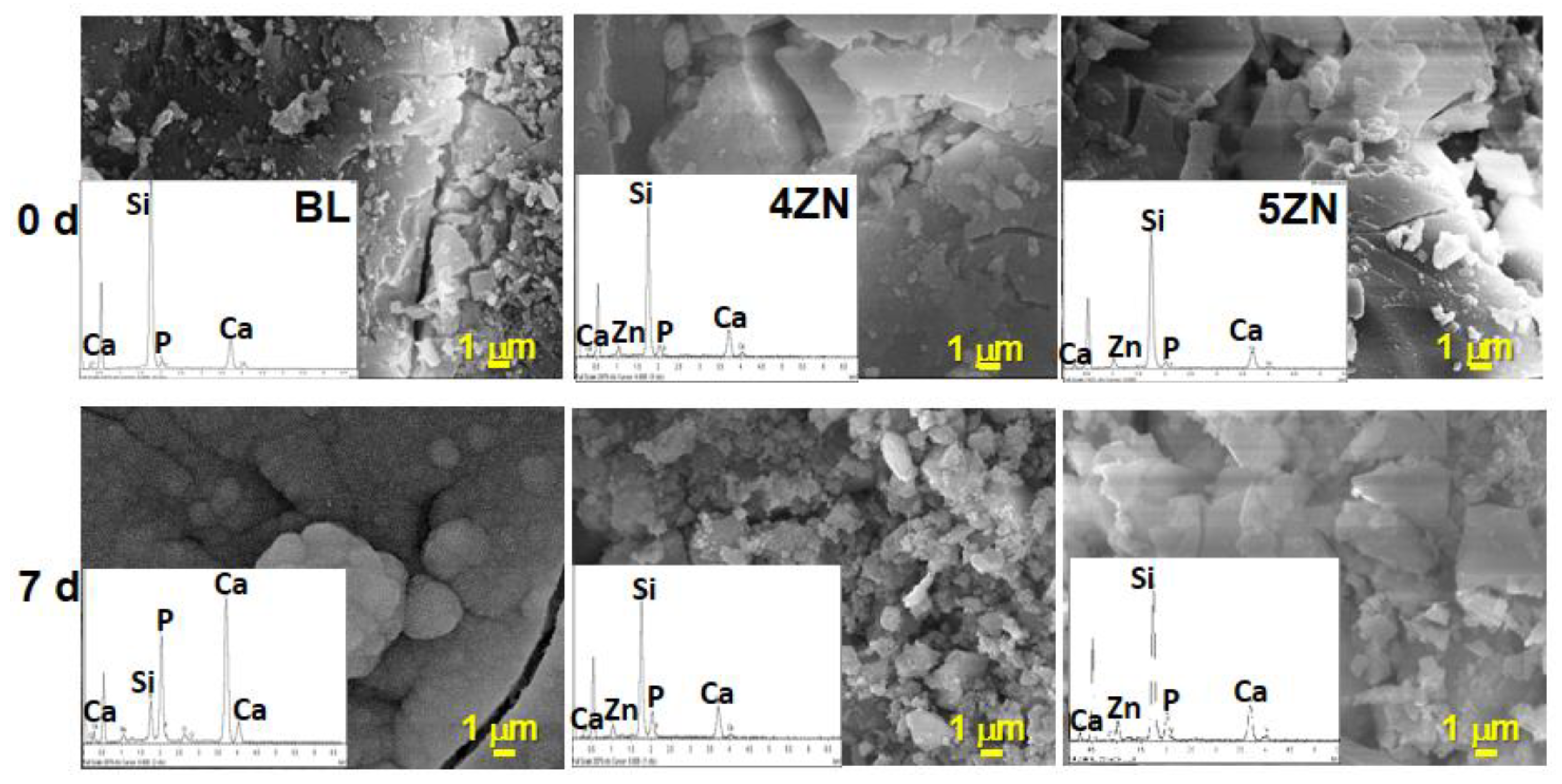 Nanomaterials 08 00592 g006
