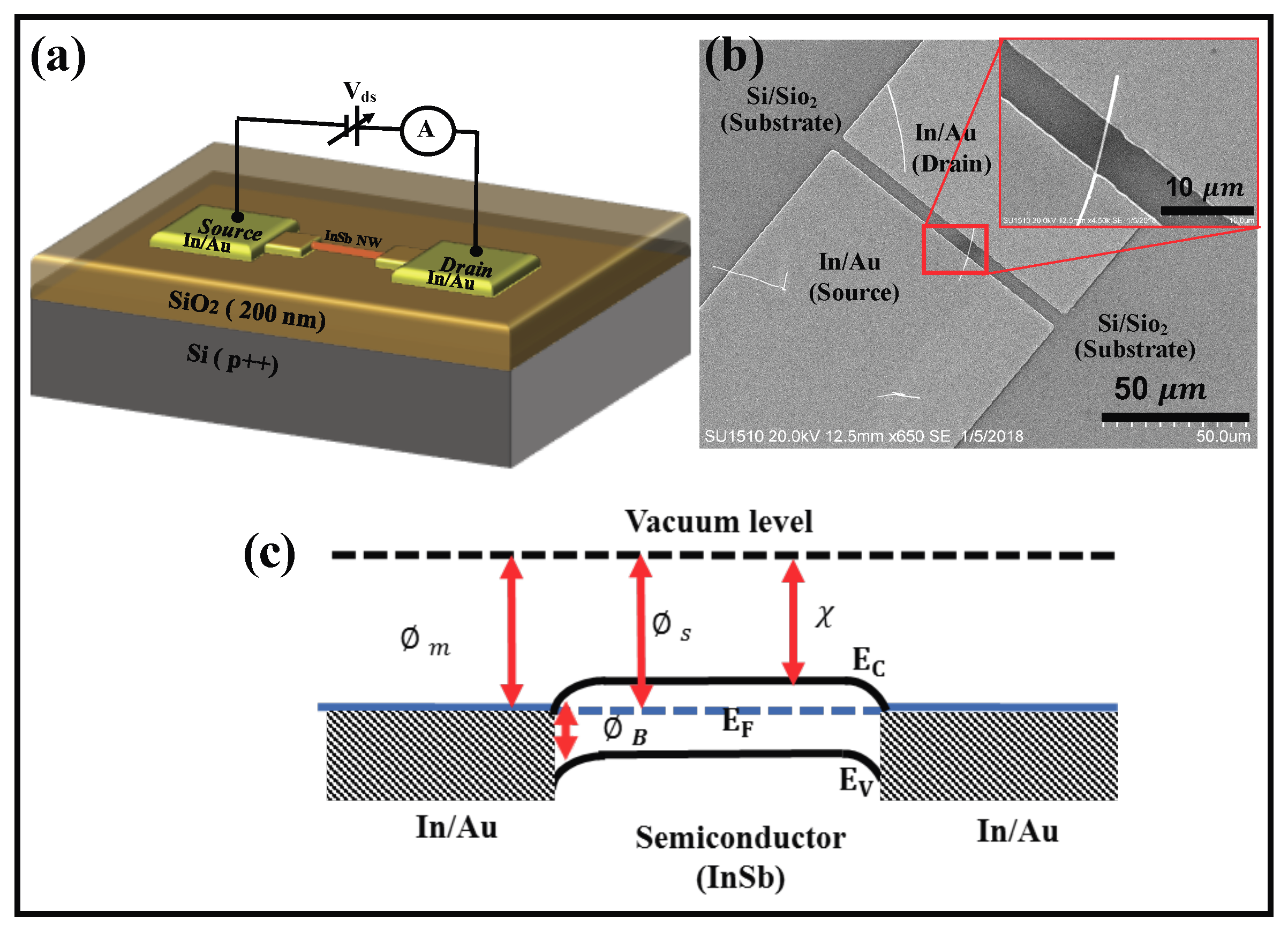 Nanomaterials 08 00607 g007 550