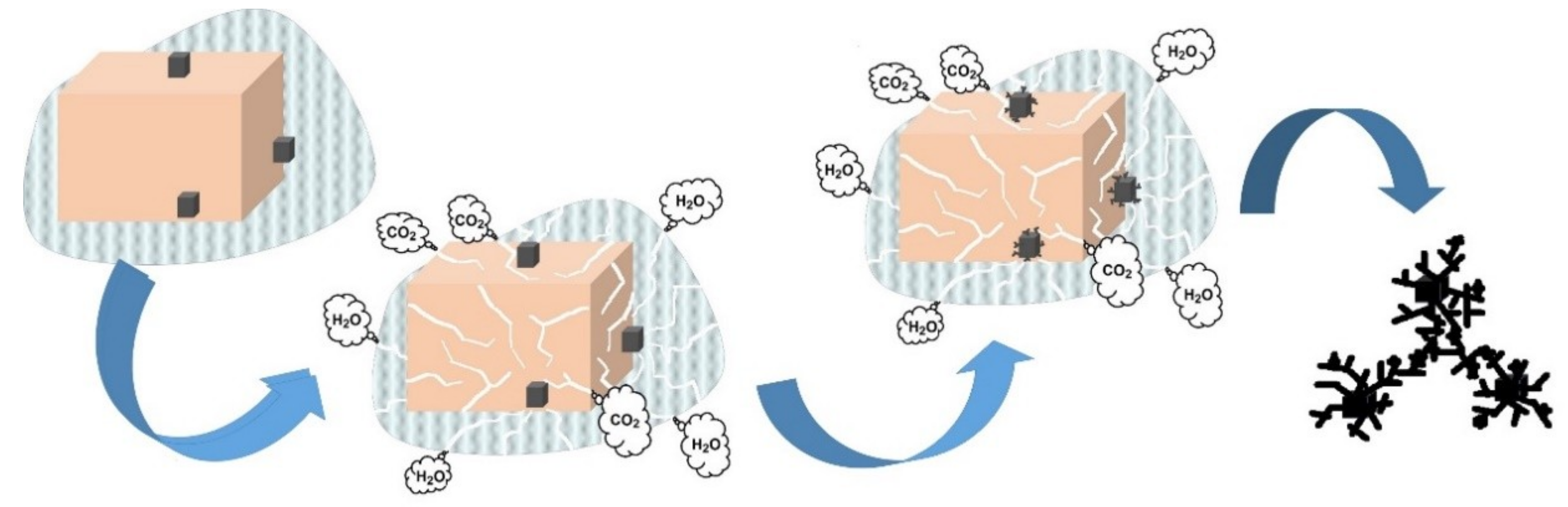 Nanomaterials 08 00608 sch001 550