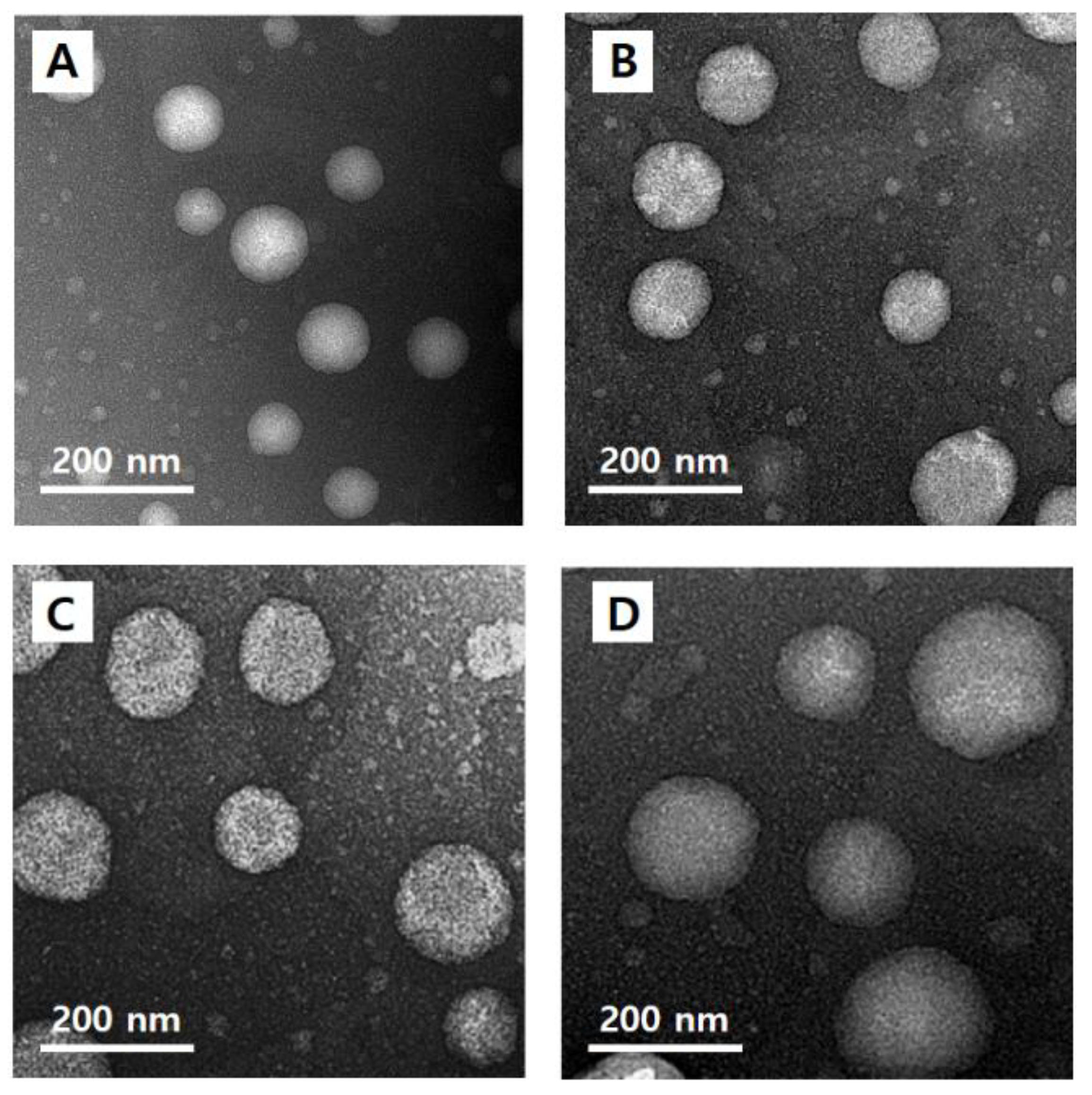 Nanomaterials 08 00622 g004