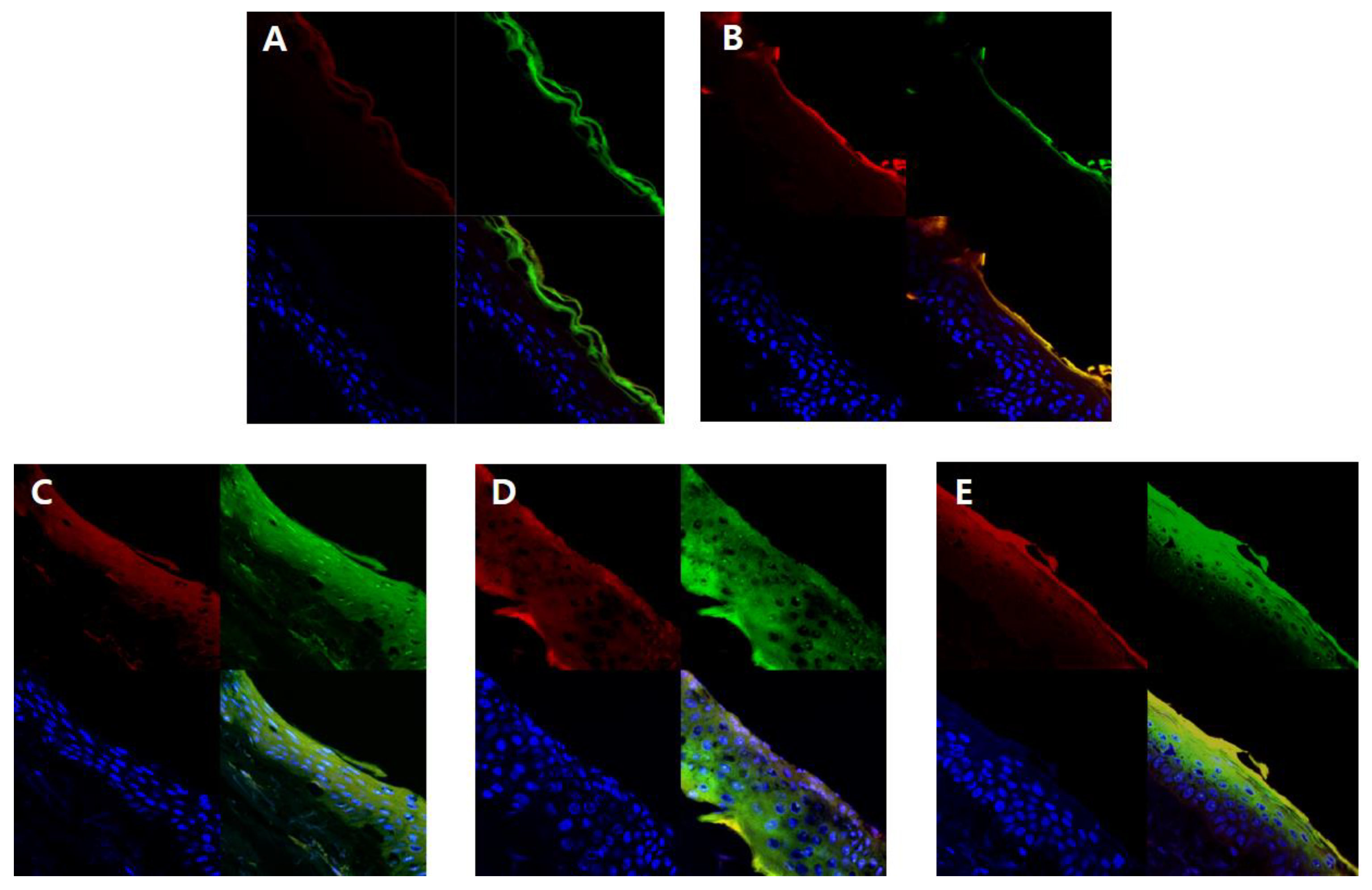 Nanomaterials 08 00622 g007