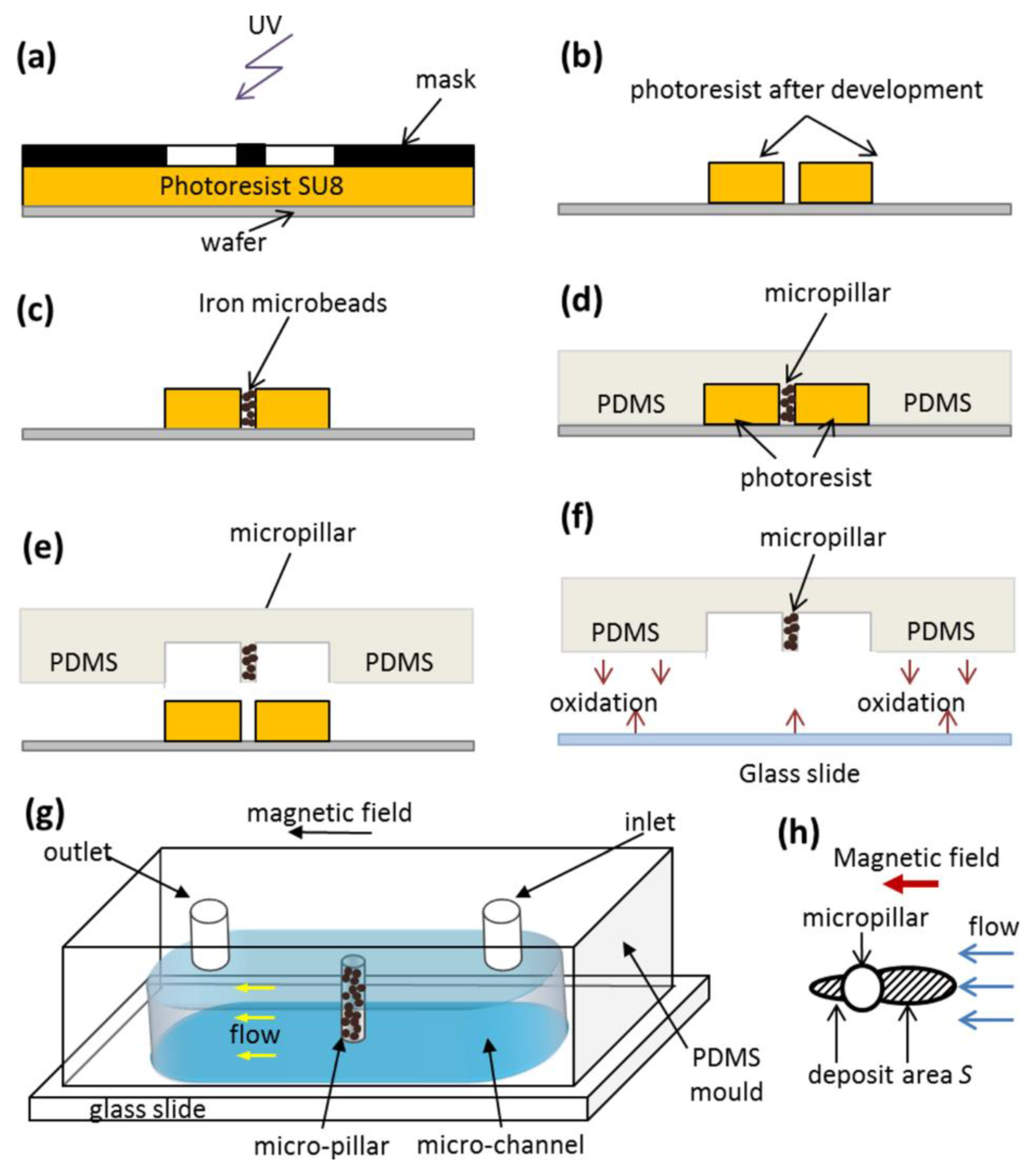 Nanomaterials 08 00623 g003