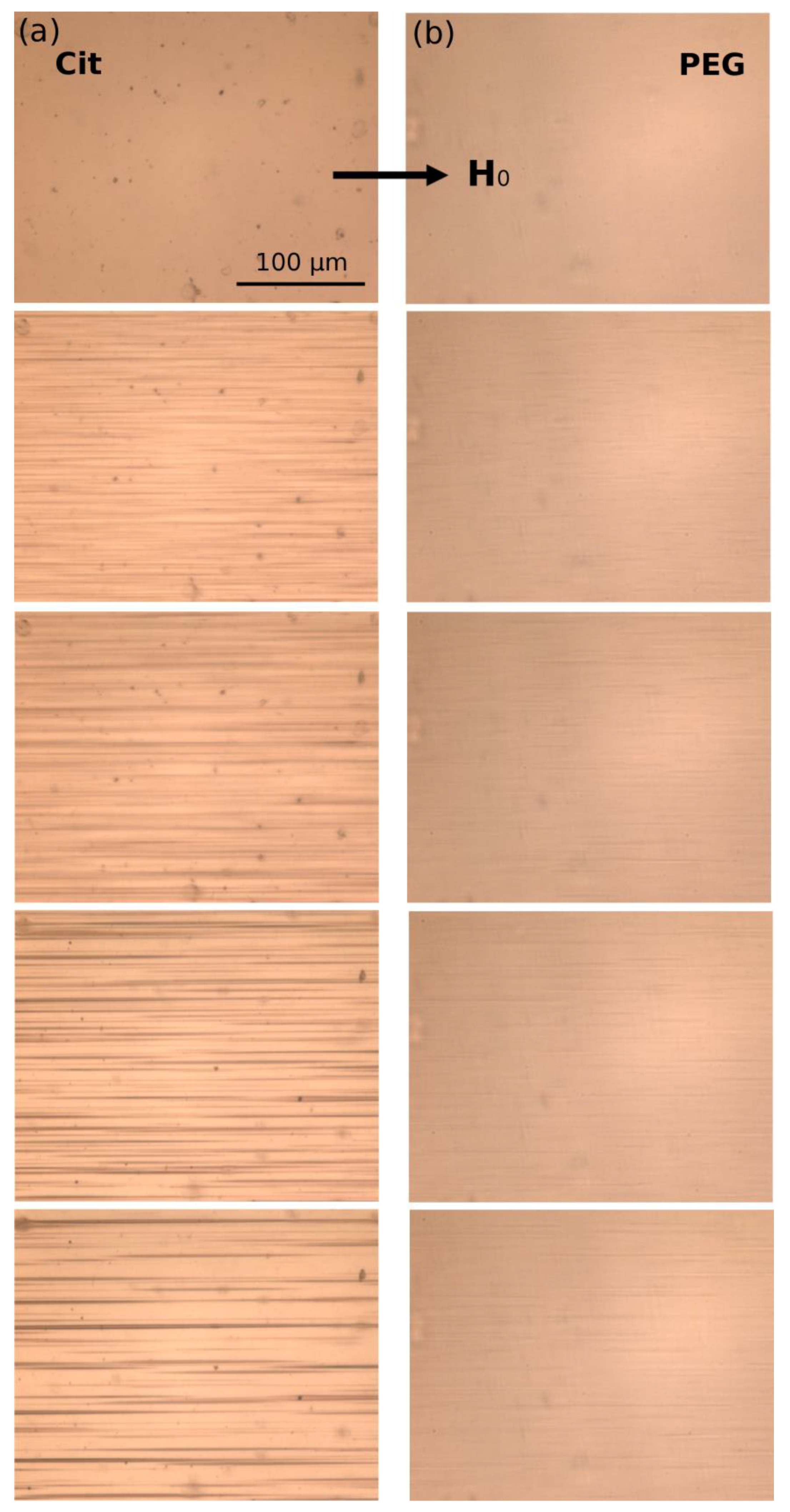 Nanomaterials 08 00623 g004