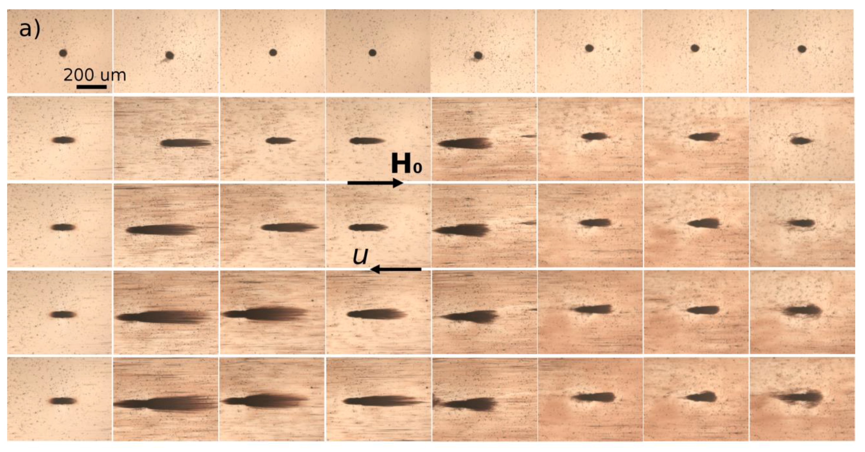 Nanomaterials 08 00623 g006a