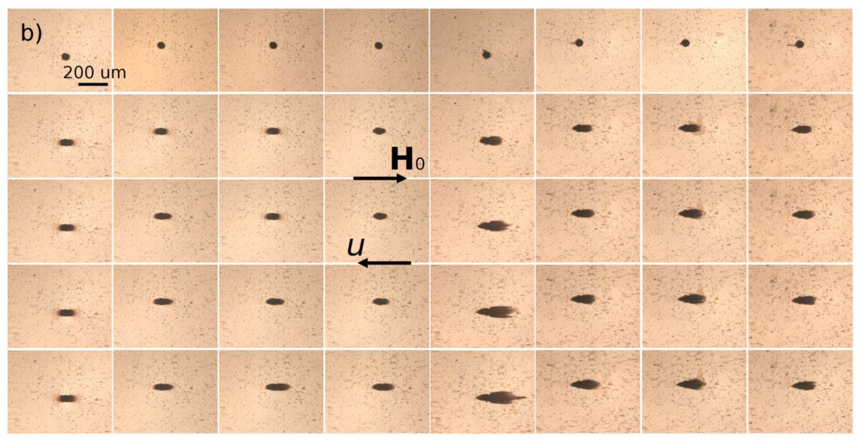 Nanomaterials 08 00623 g006b