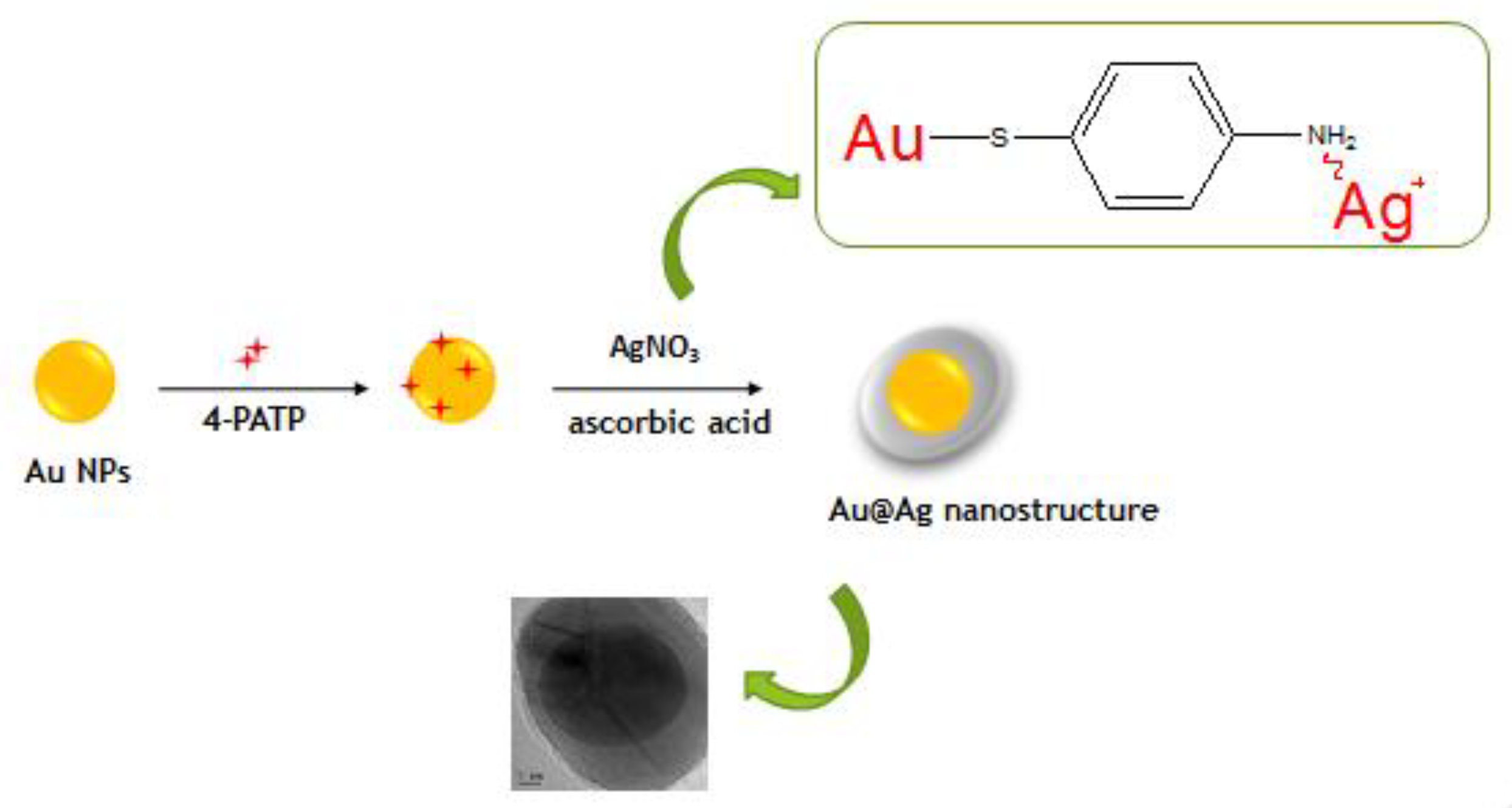 Nanomaterials 08 00629 g001