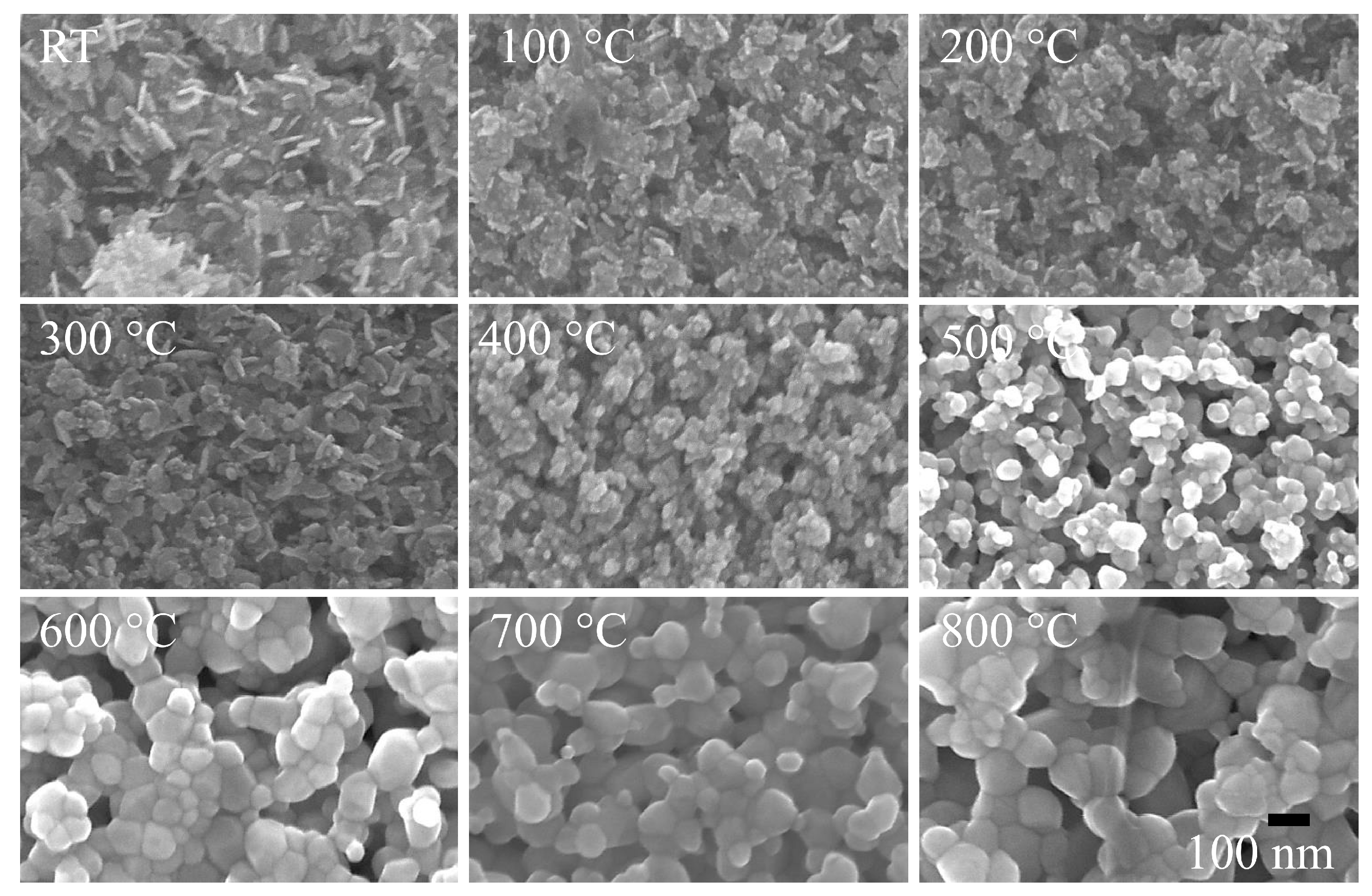 Nanomaterials 08 00632 g001