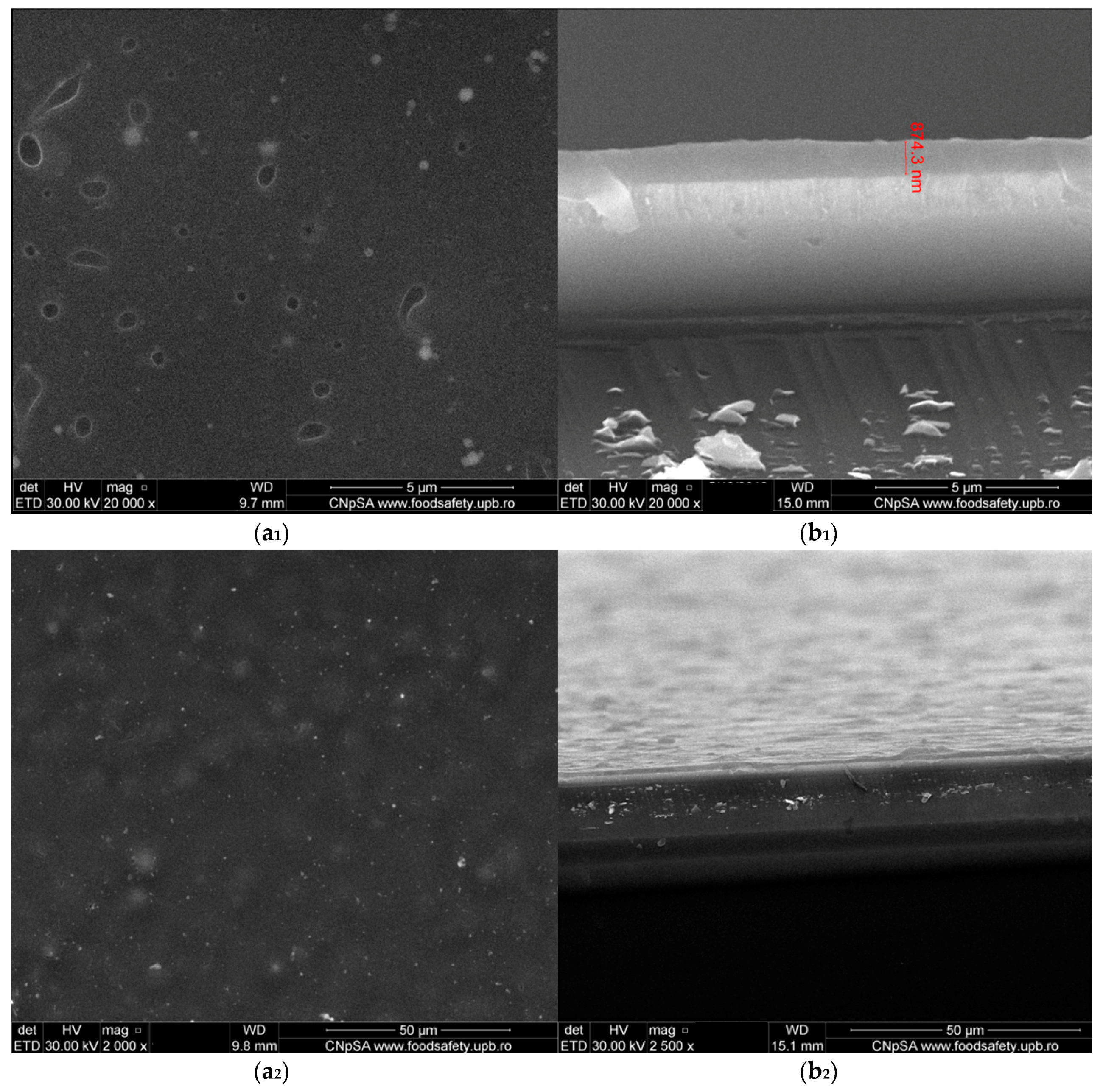 Nanomaterials 08 00633 g007 Nanomaterials 08 00633 g007