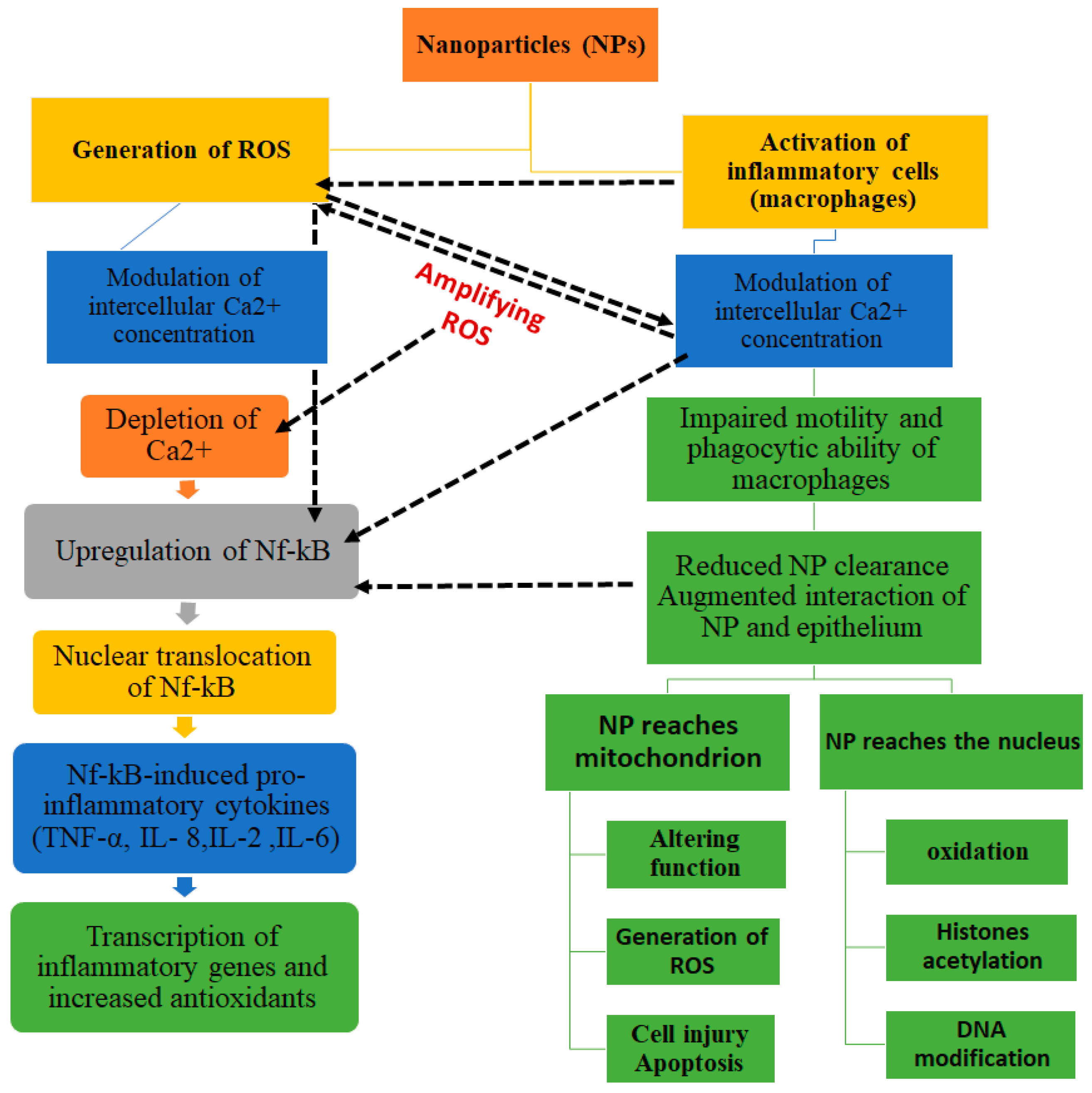 Nanomaterials 08 00634 g003