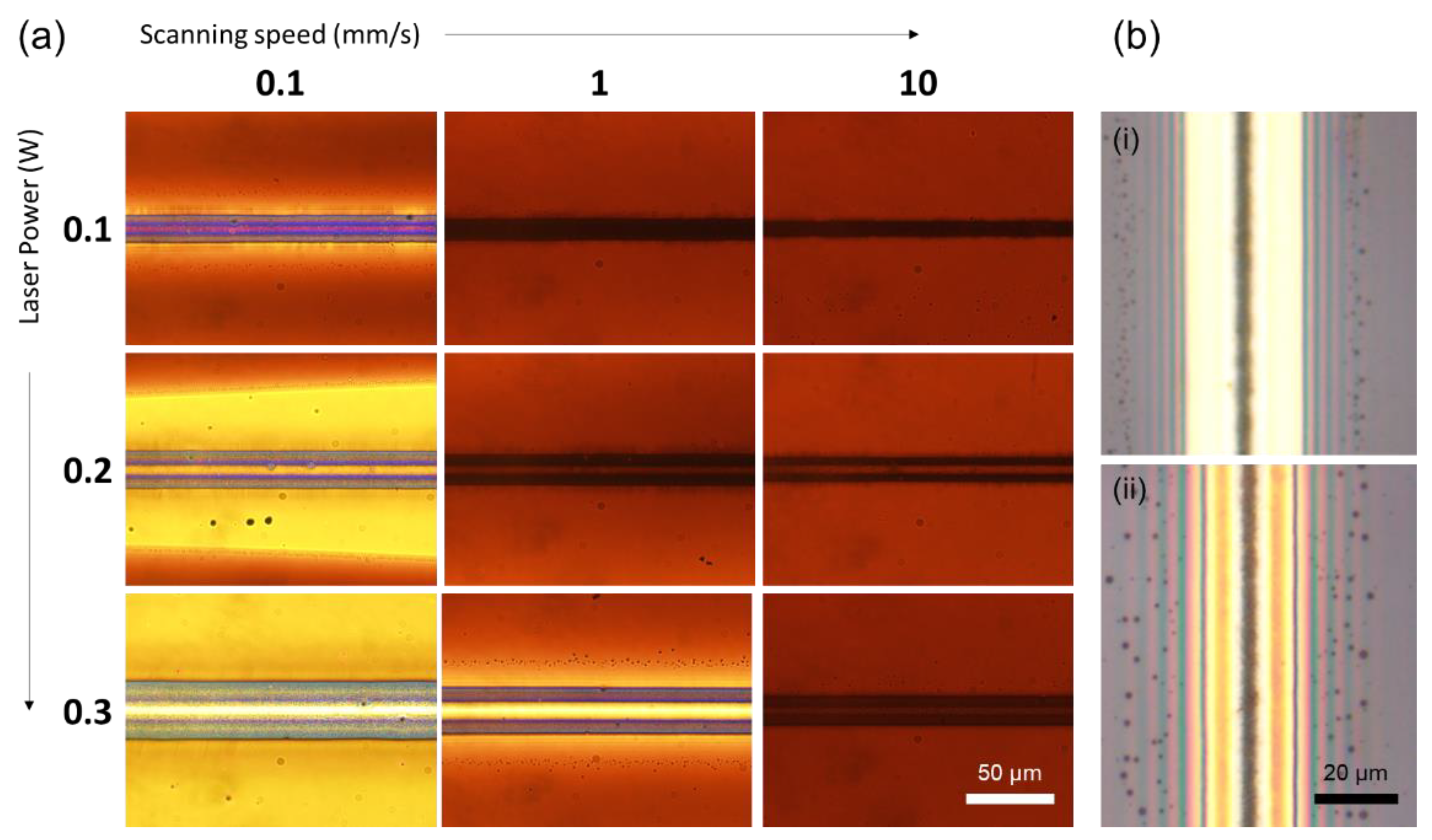 Nanomaterials 08 00645 g003