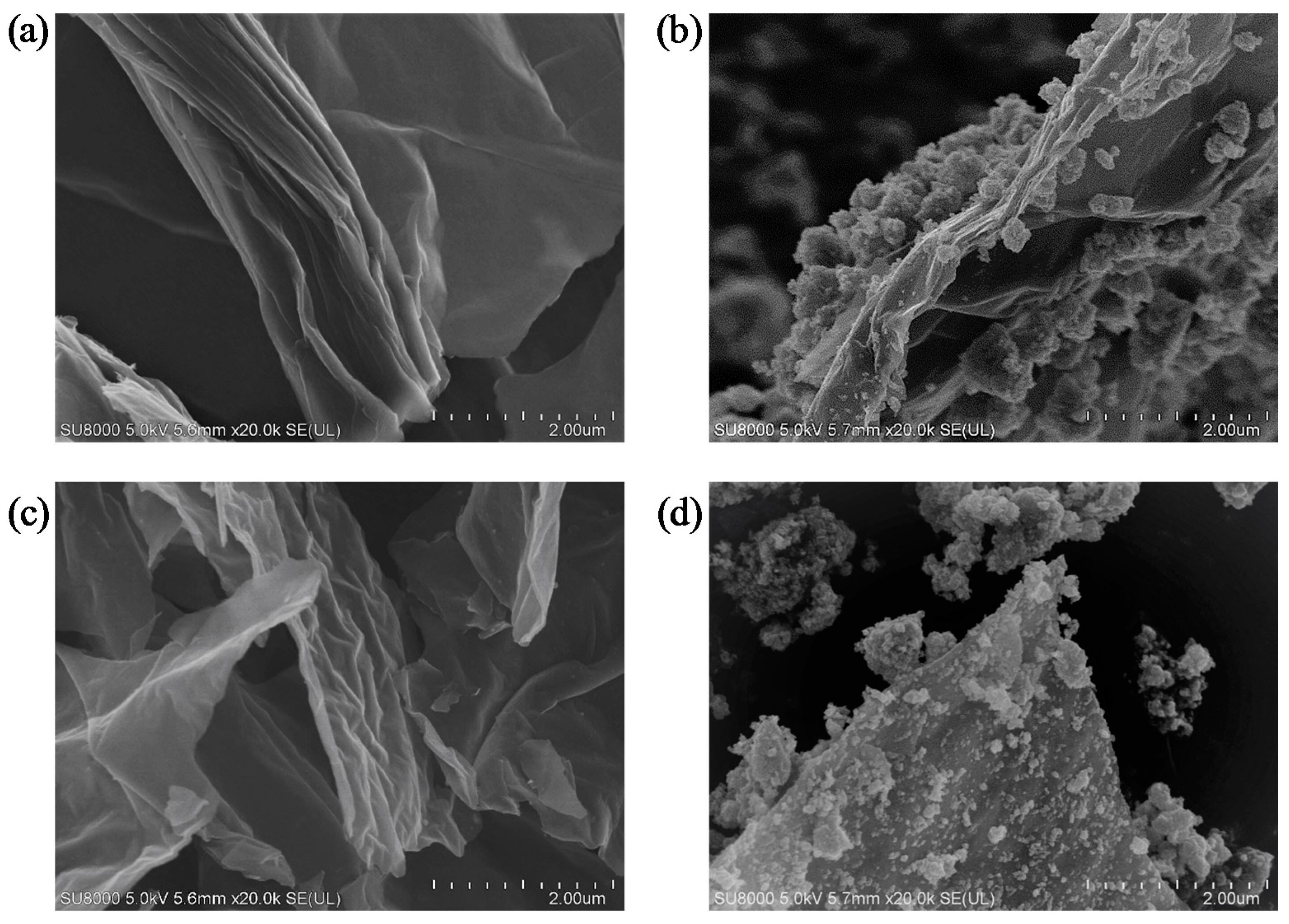 Nanomaterials 08 00647 g002 Nanomaterials 08 00647 g002