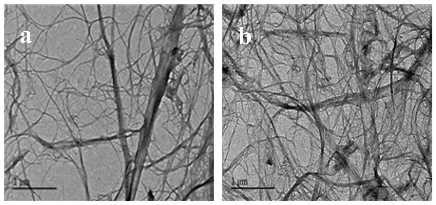 Nanomaterials 08 00648 g002 Nanomaterials 08 00648 g002