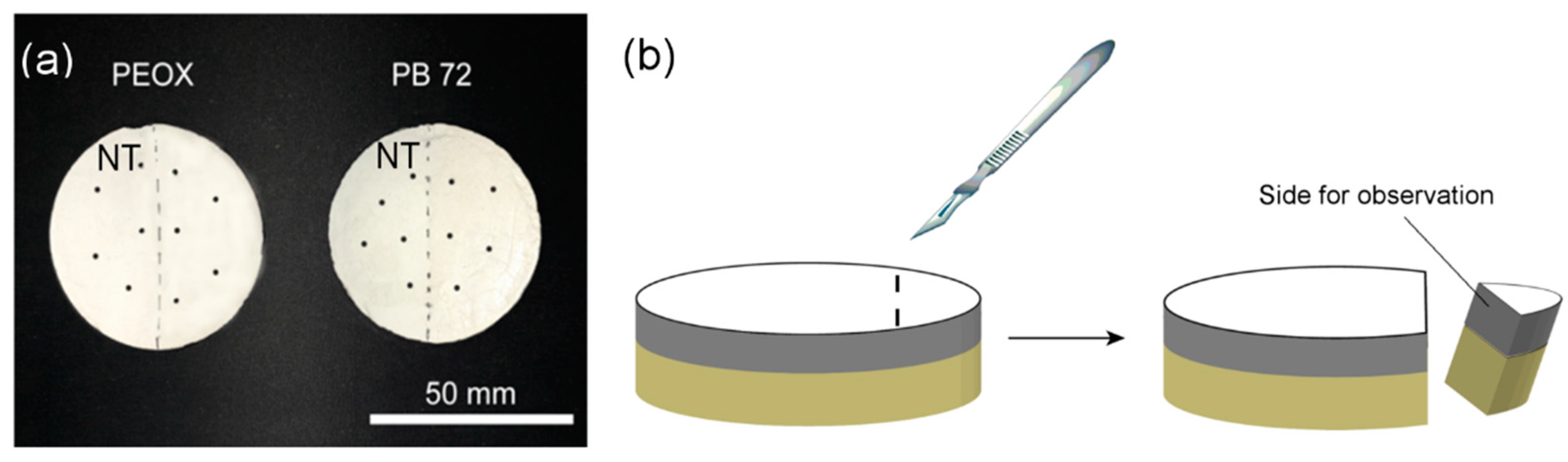 Nanomaterials 08 00649 g003