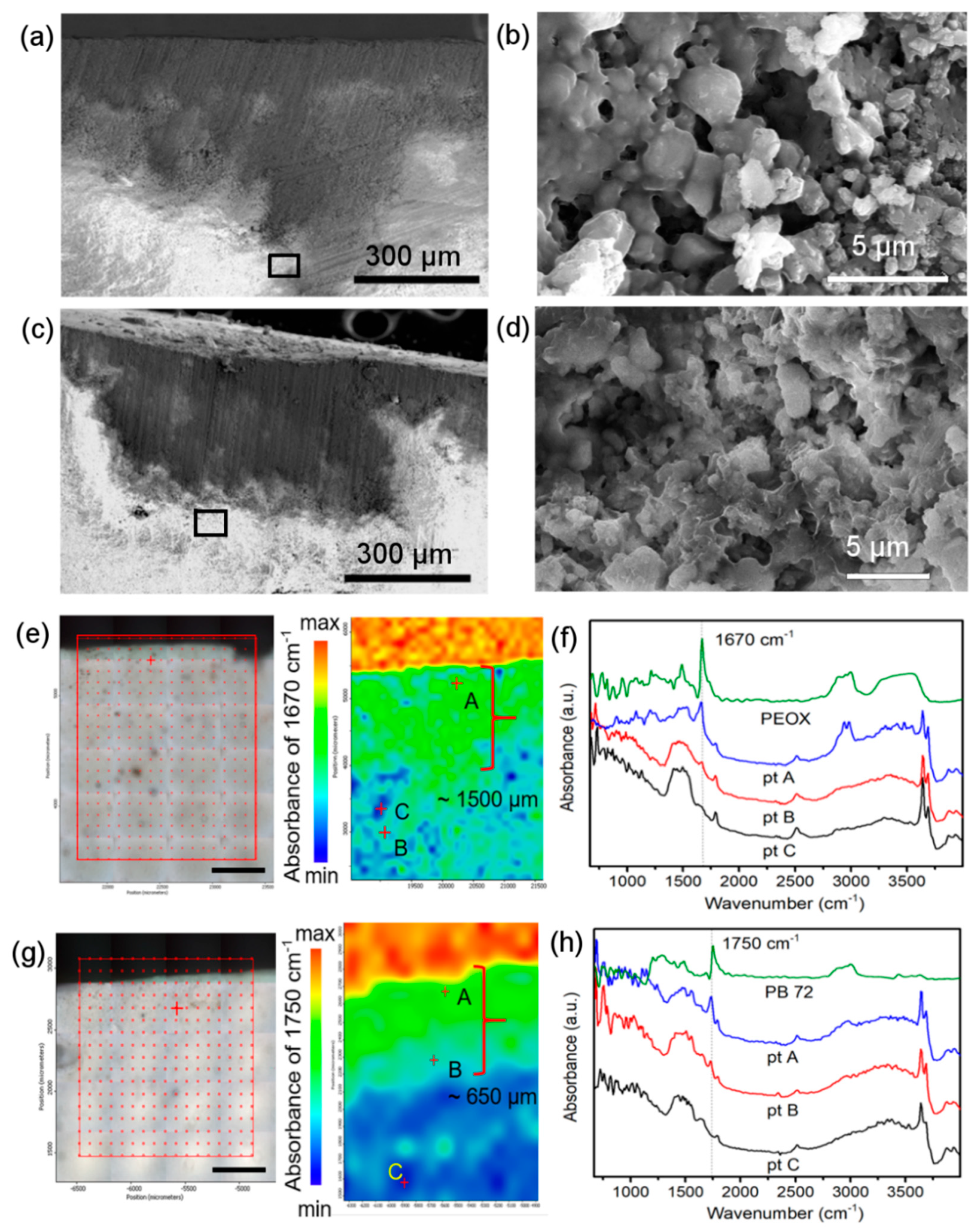 Nanomaterials 08 00649 g005