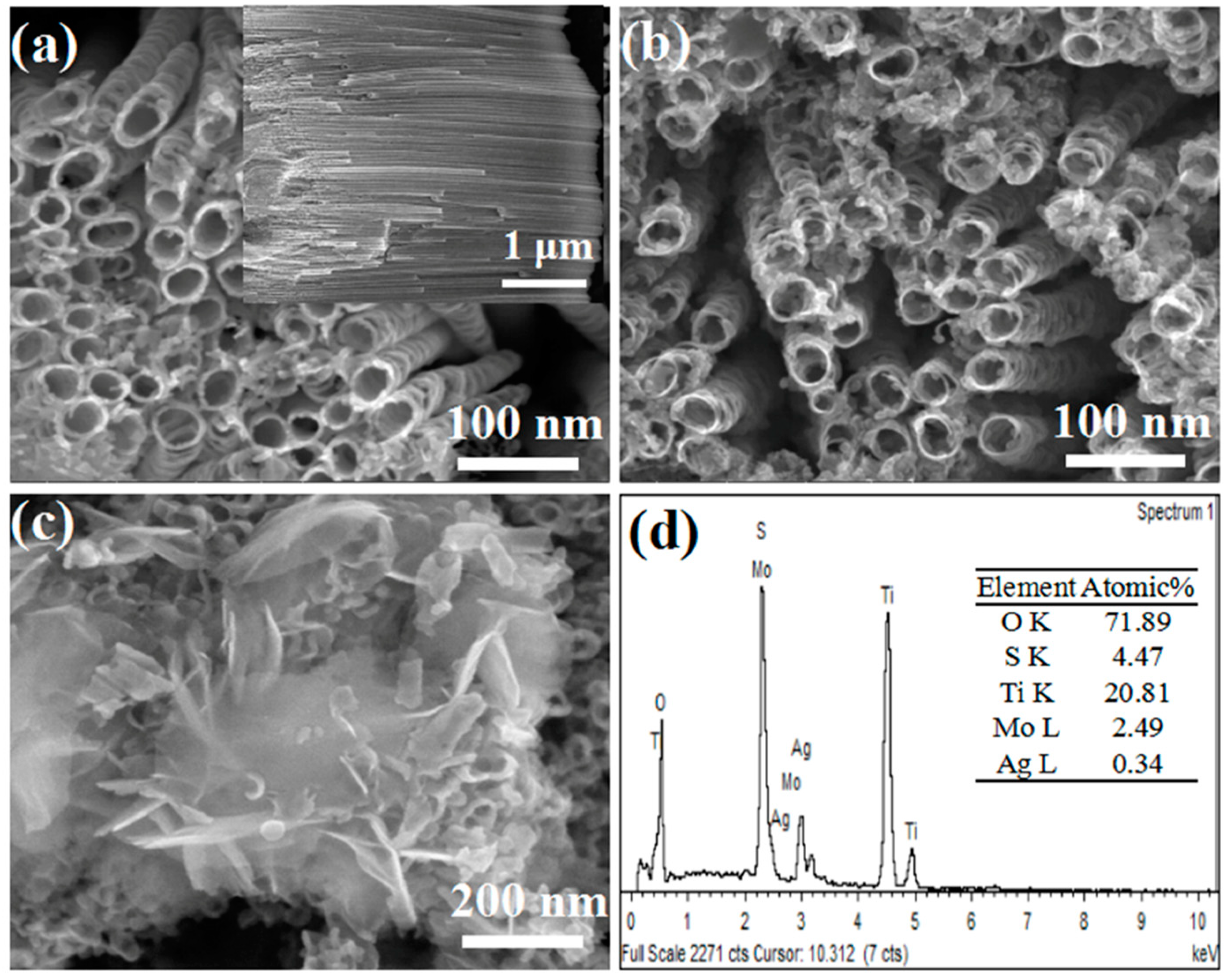 Nanomaterials 08 00666 g002