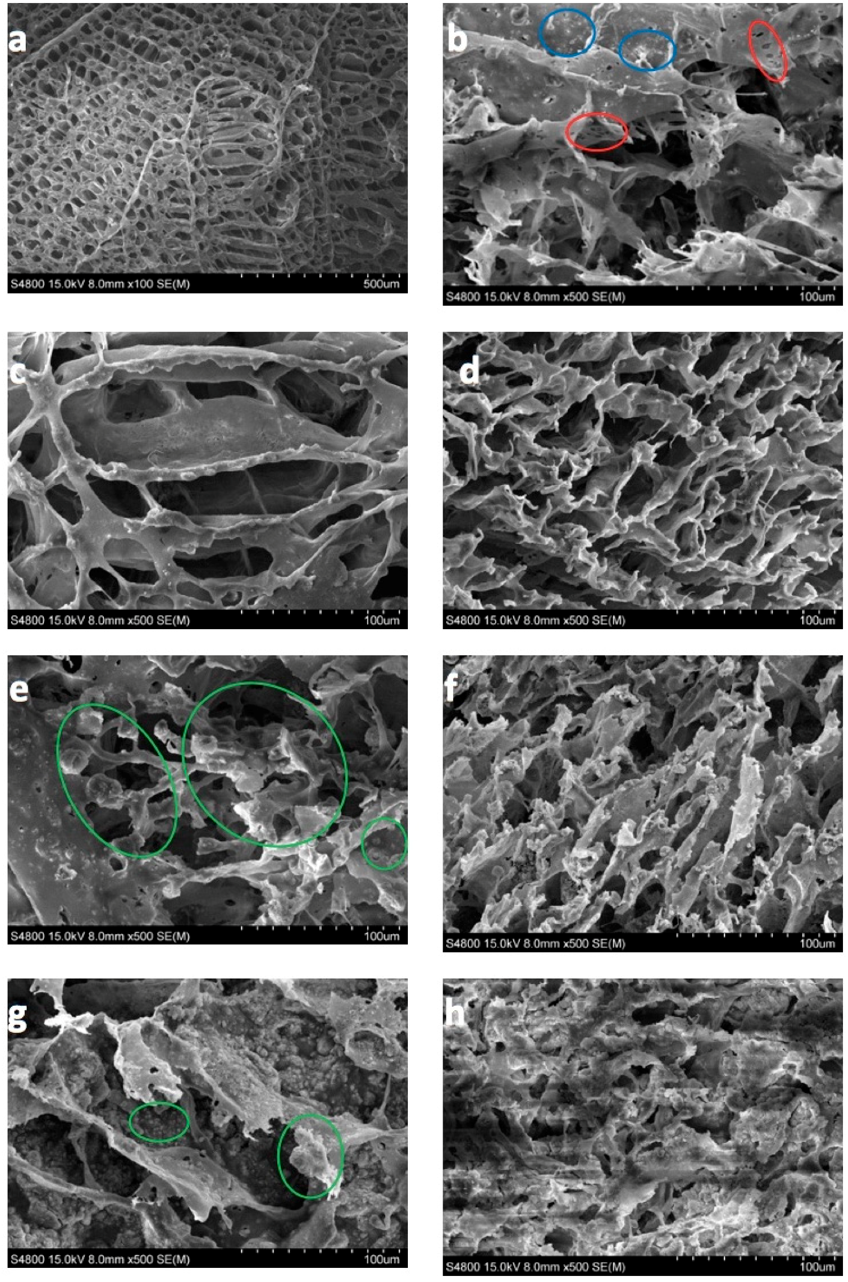 Nanomaterials 08 00678 g005