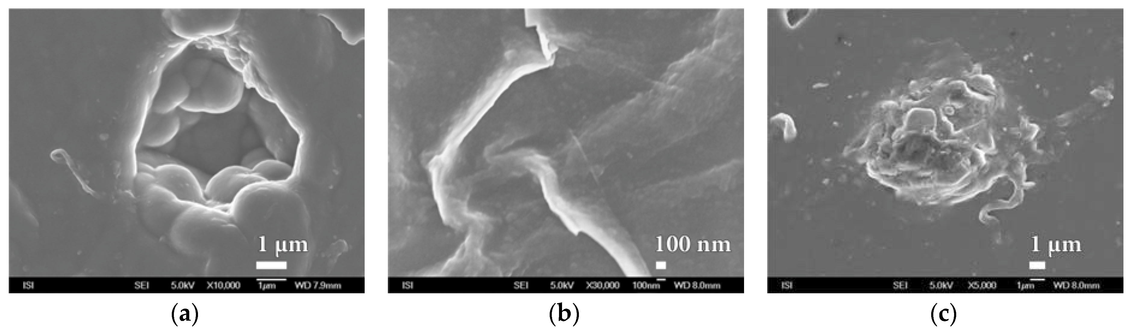 Nanomaterials 08 00679 g007