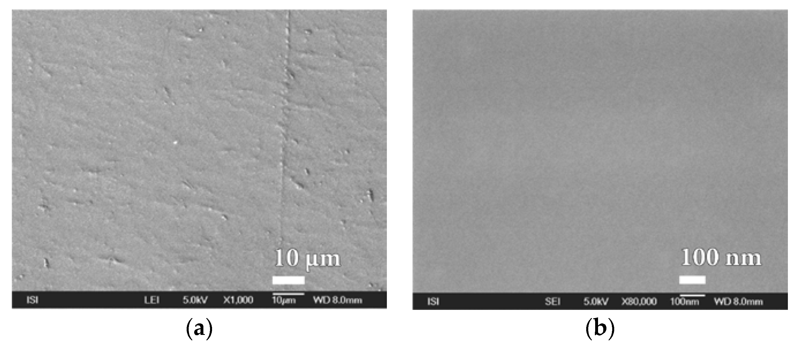 Nanomaterials 08 00679 g008
