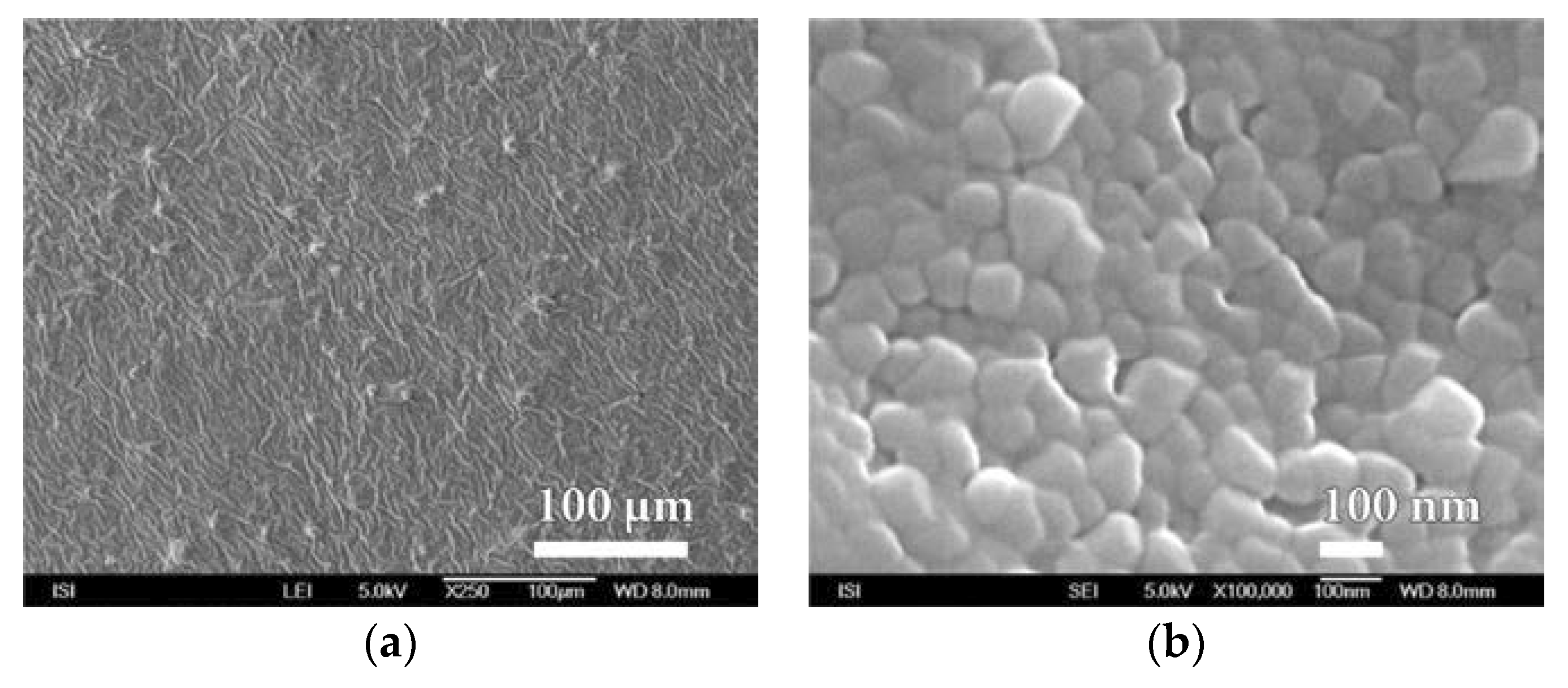 Nanomaterials 08 00679 g011