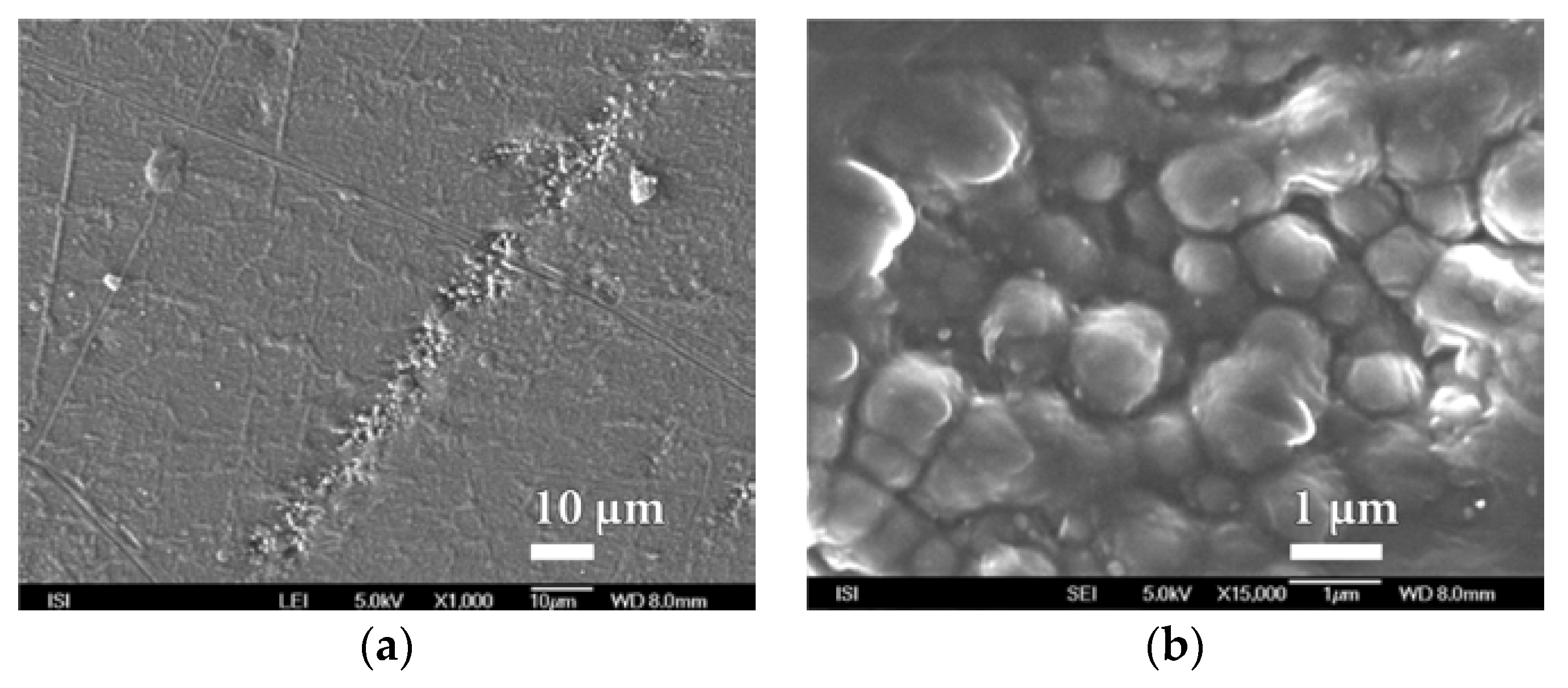Nanomaterials 08 00679 g012