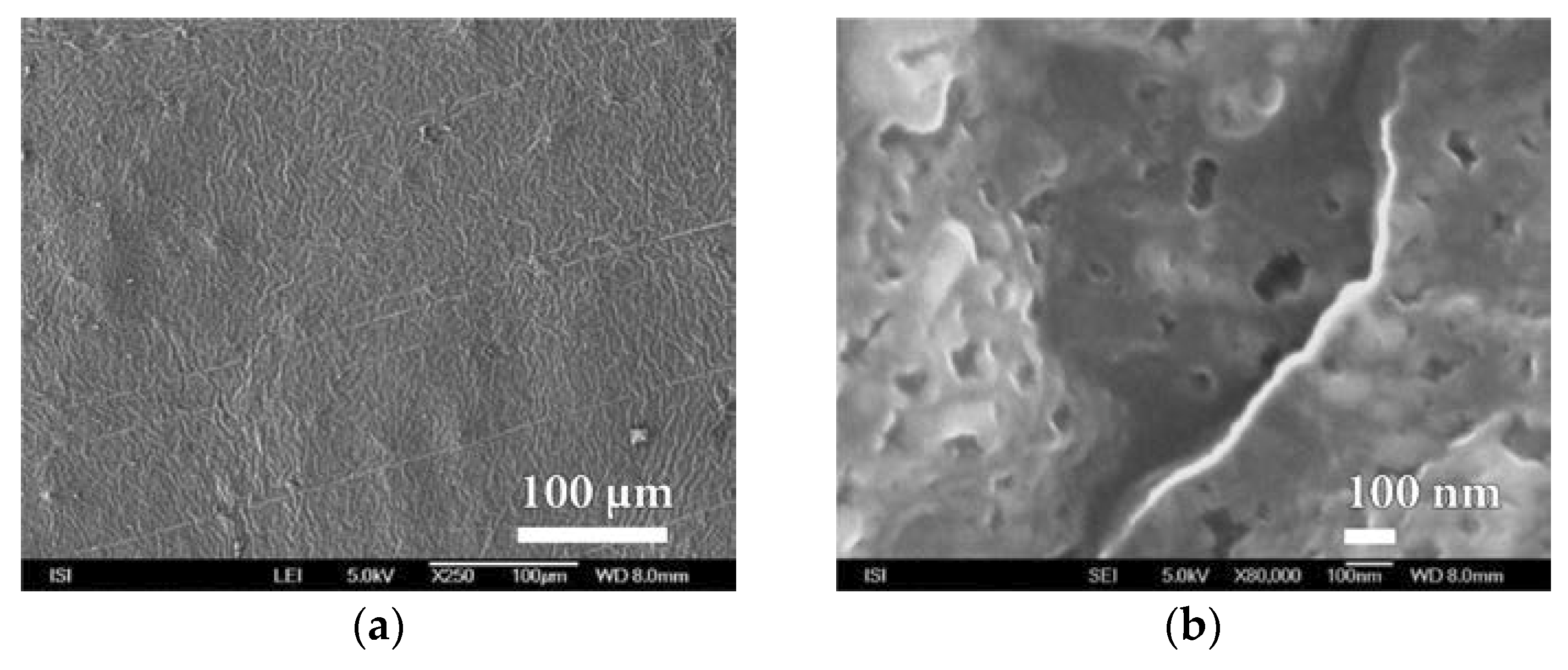 Nanomaterials 08 00679 g015